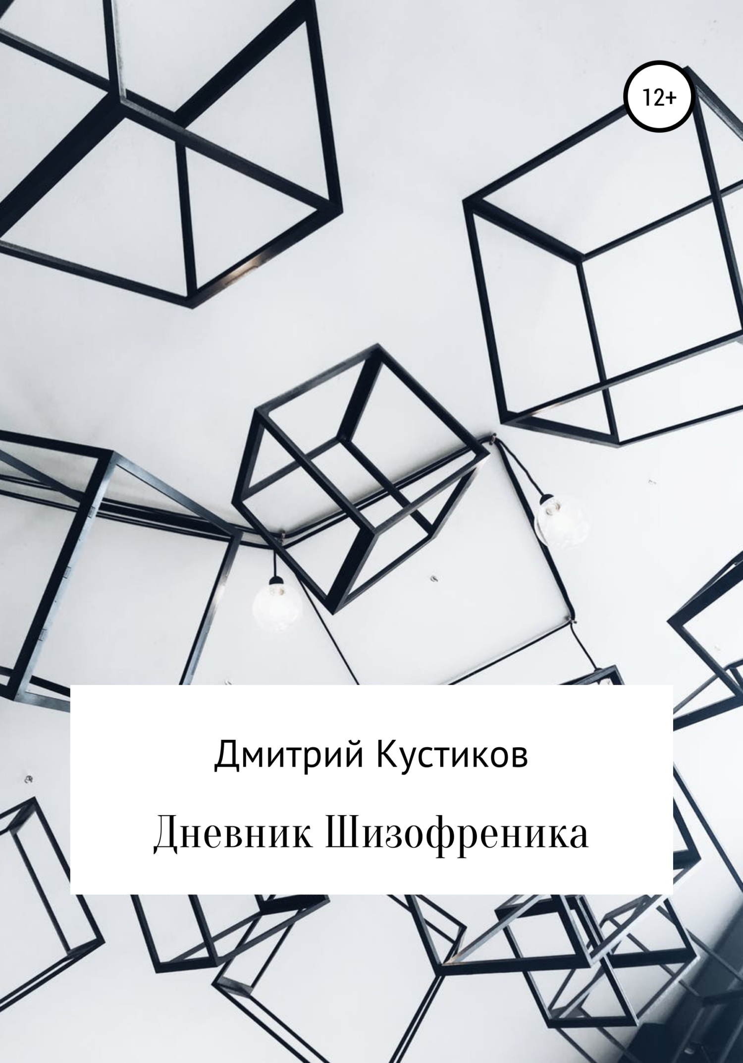 Обложка книги «Дневник Шизофреника»