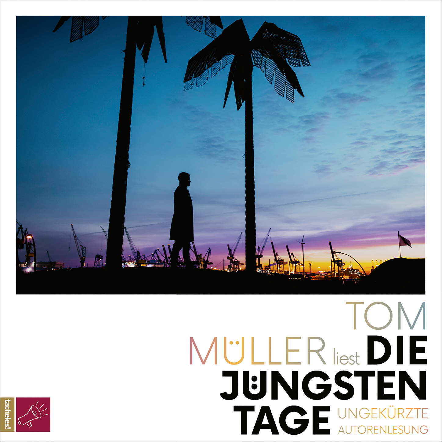 Обложка книги «Die jüngsten Tage (Ungekürzt)»