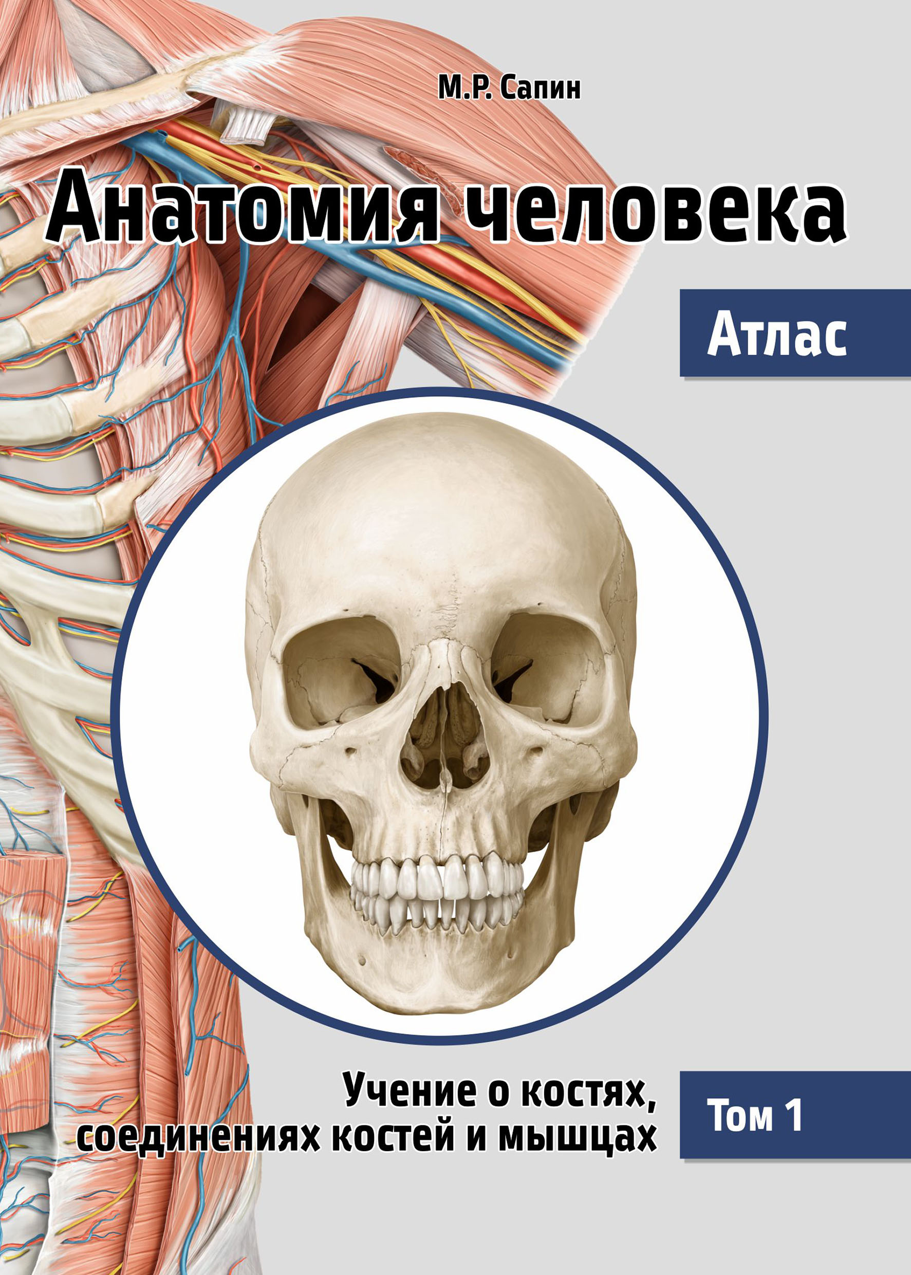 Обложка книги «Анатомия человека. Атлас. Том 1. Учение о костях, соединениях костей и мышцах»