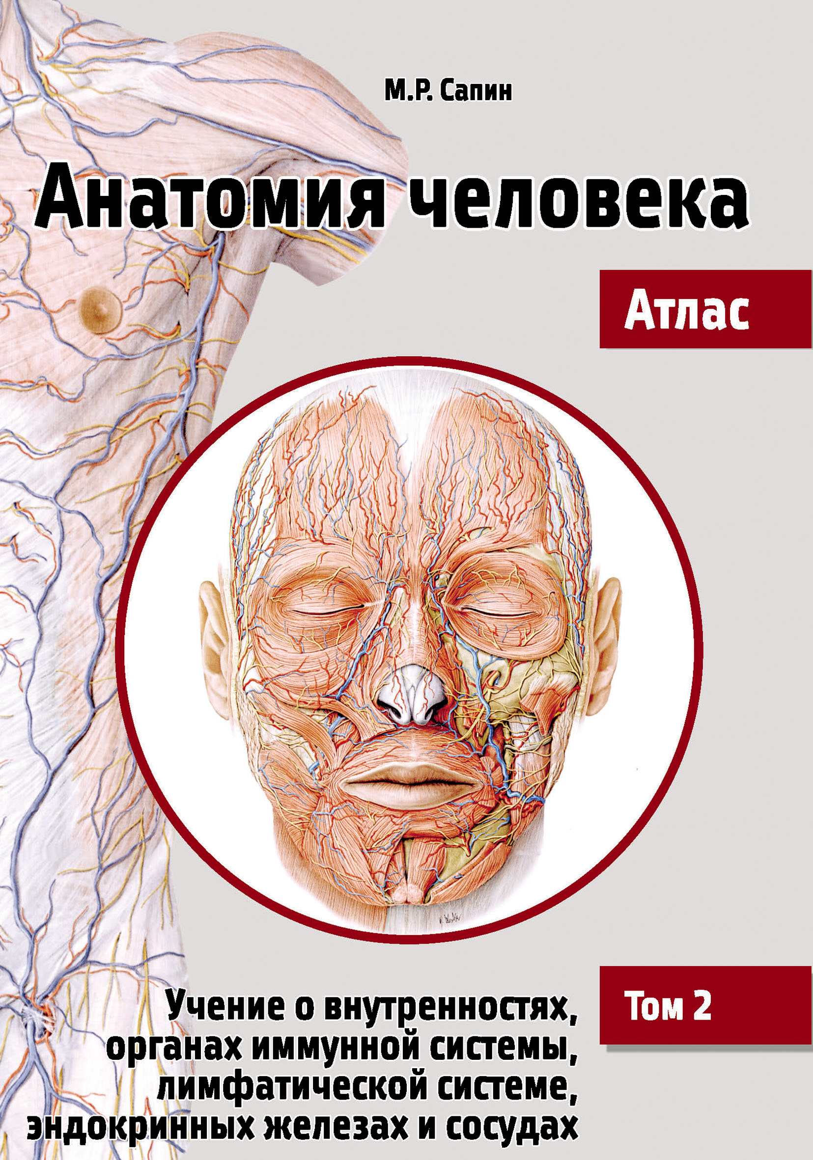 Обложка книги «Анатомия человека. Атлас. Том 2. Учение о внутренностях, органах иммунной системы, лимфатической системе, эндокринных железах и сосудах»