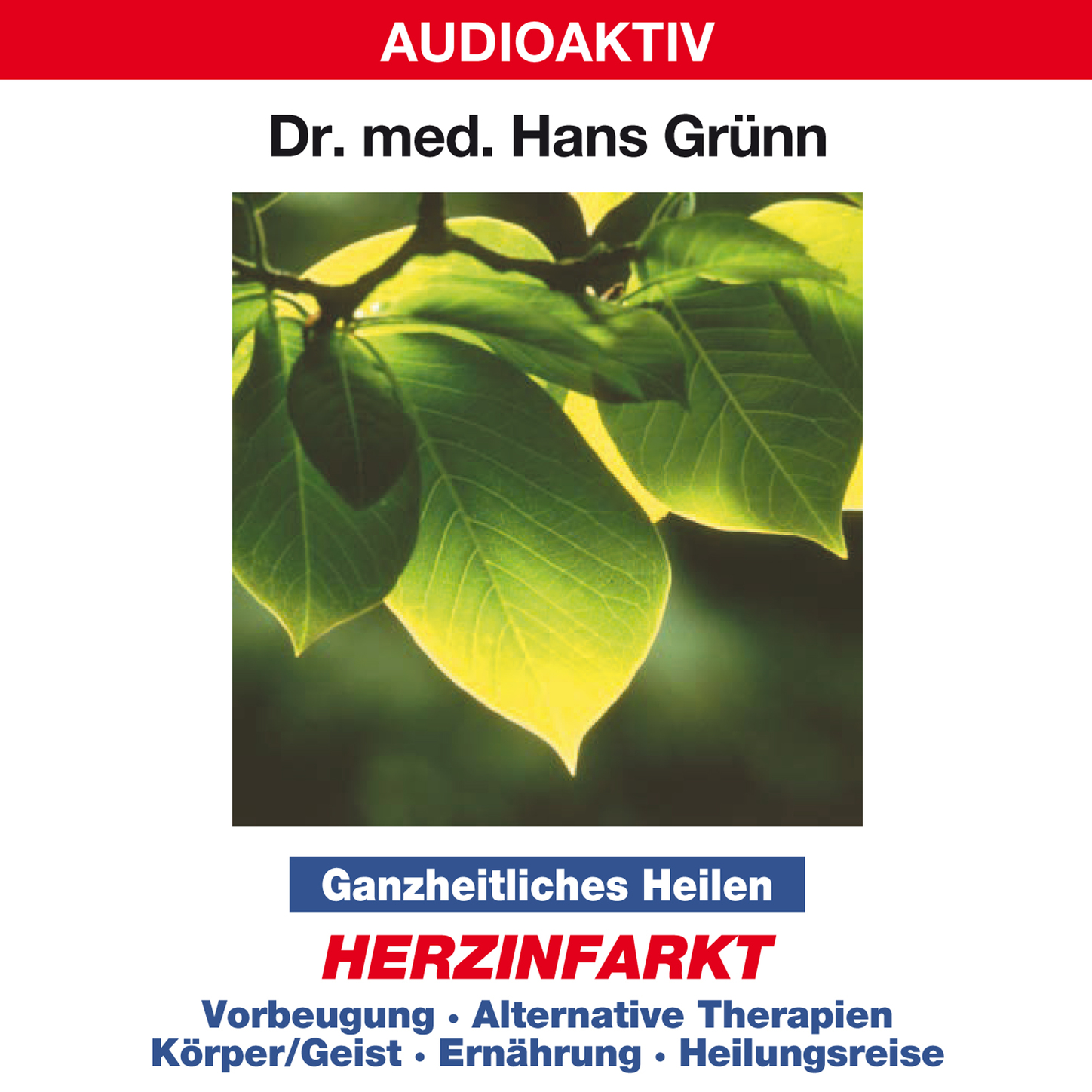 Обложка книги «Ganzheitliches Heilen: Herzinfarkt - Vorbeugung, alternative Therapien, Körper & Geist, Ernährung, Heilungsreise»