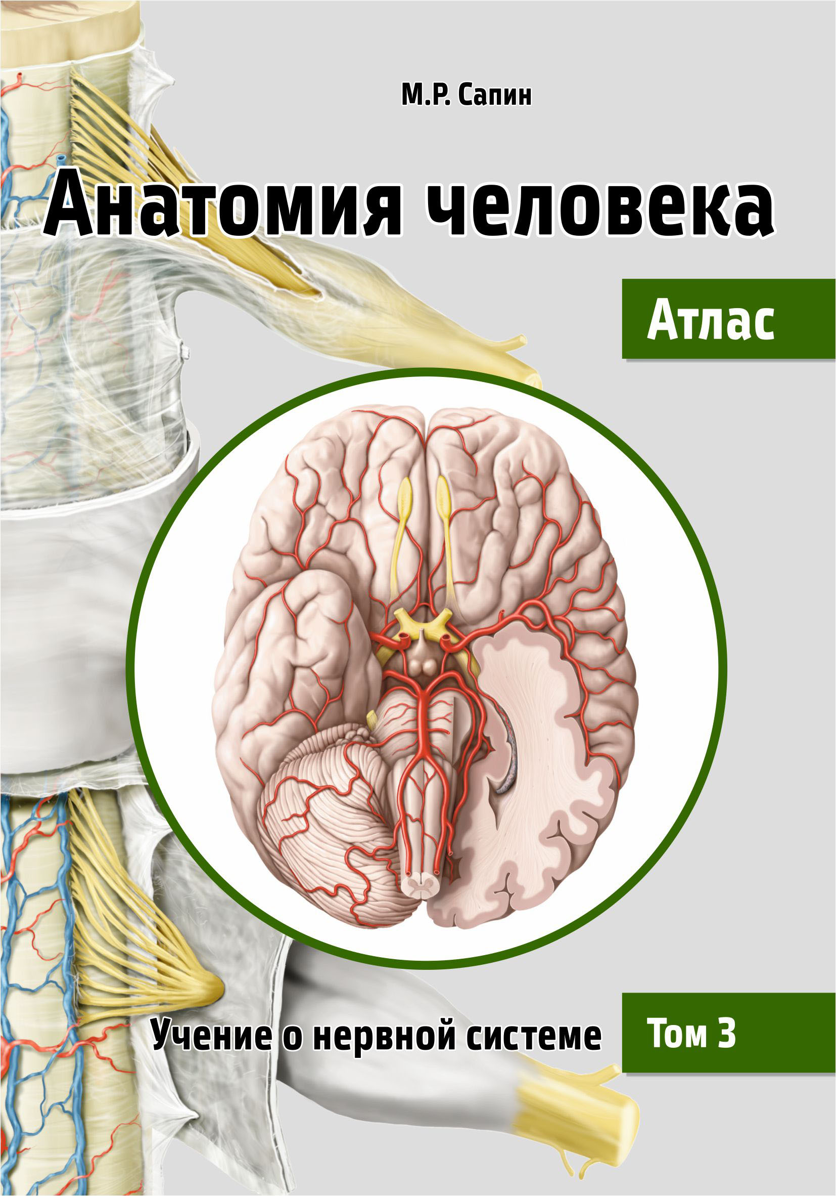 Обложка книги «Анатомия человека. Атлас. Том 3. Учение о нервной системе»