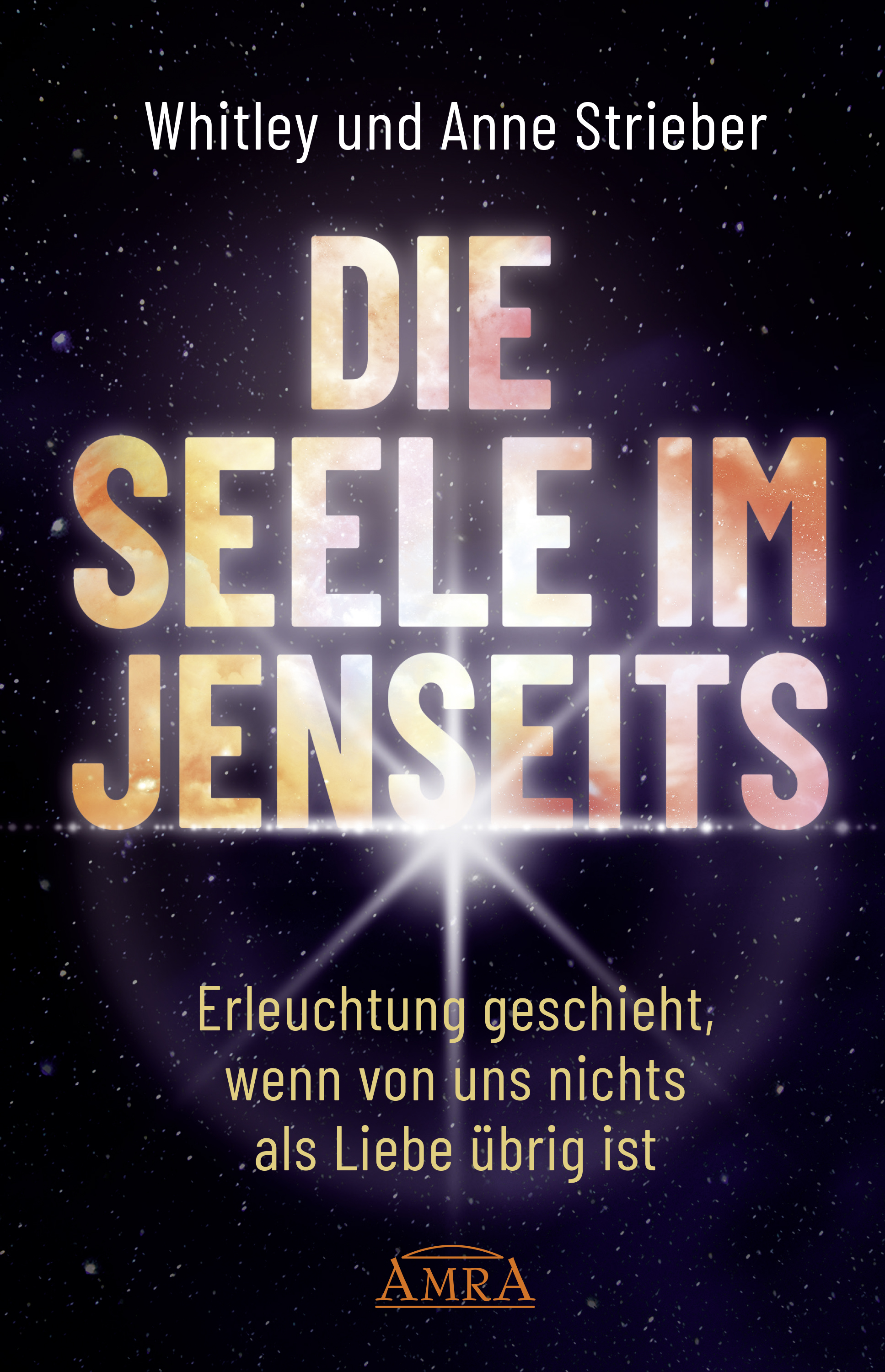 Обложка книги «DIE SEELE IM JENSEITS»