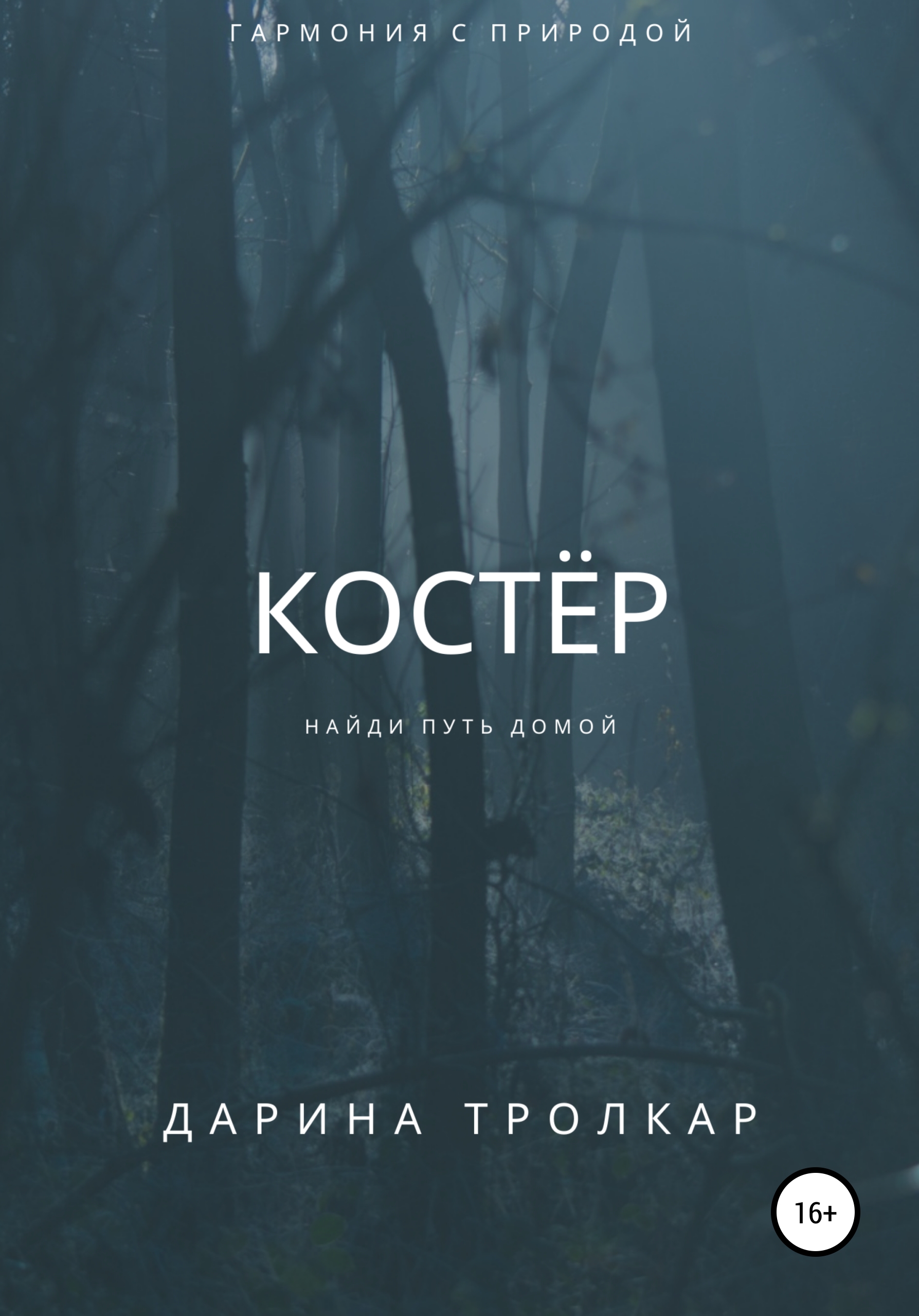 Обложка книги «Костёр»