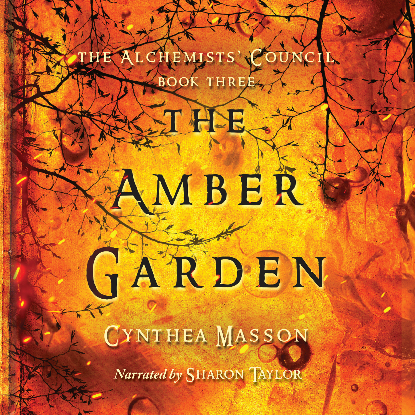 Обложка книги «The Amber Garden - The Alchemists' Council, Book 3 (Unabridged)»