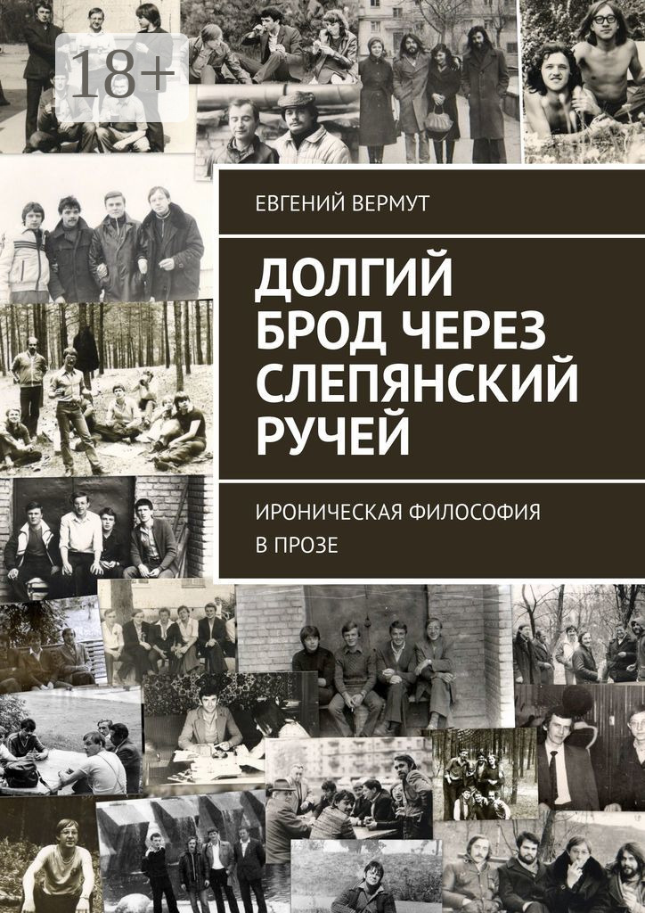 Обложка книги «Долгий брод через Слепянский ручей. Ироническая философия в прозе»