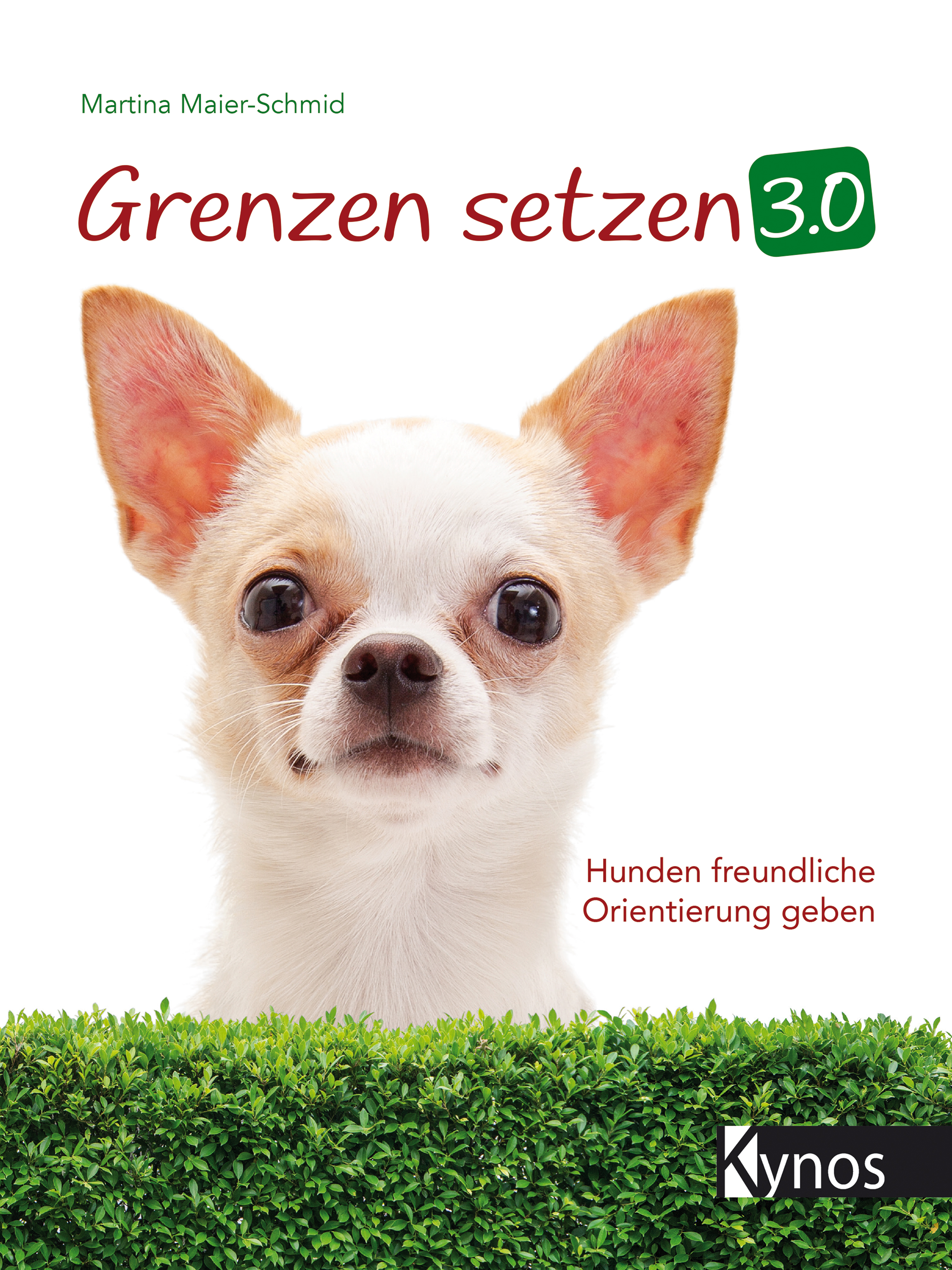 Обложка книги «Grenzen setzen 3.0»