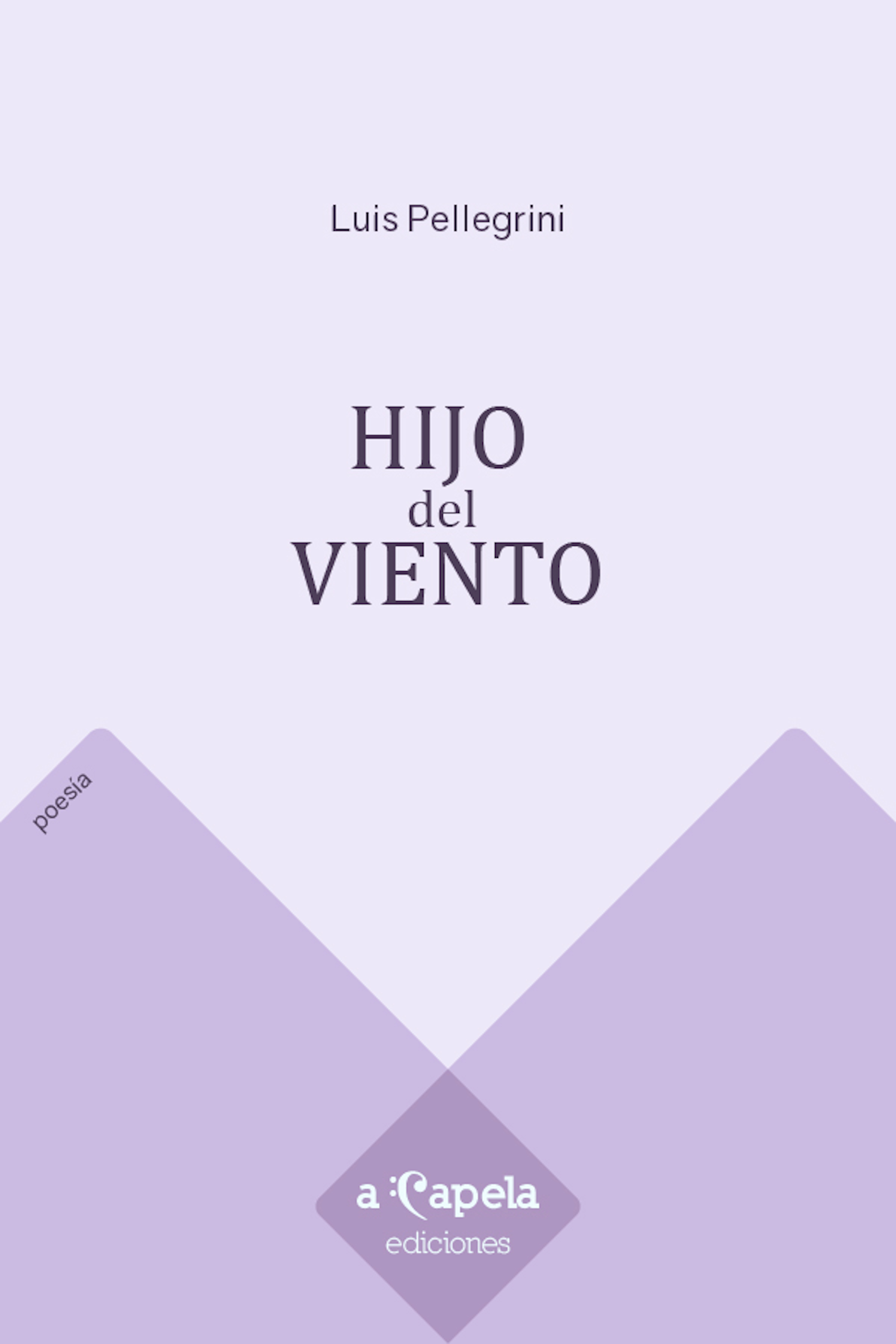 Обложка книги «Hijo del viento»