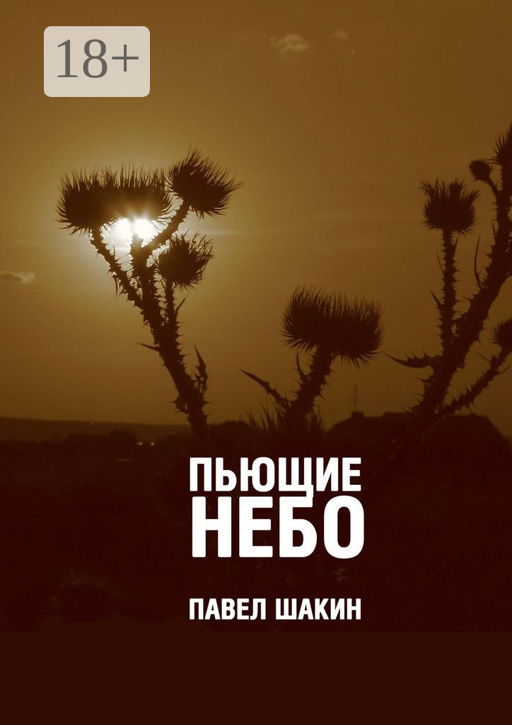 Обложка книги «Пьющие небо»