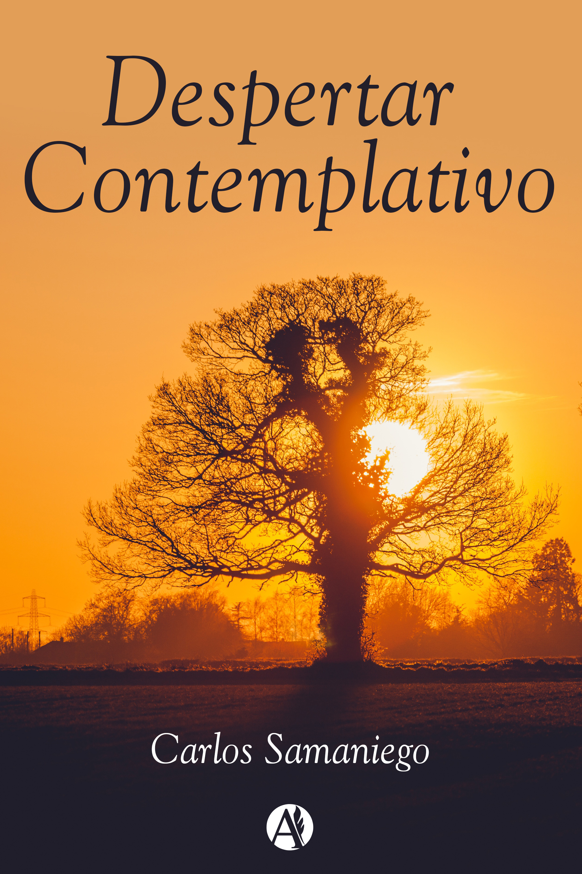 Обложка книги «Despertar contemplativo»
