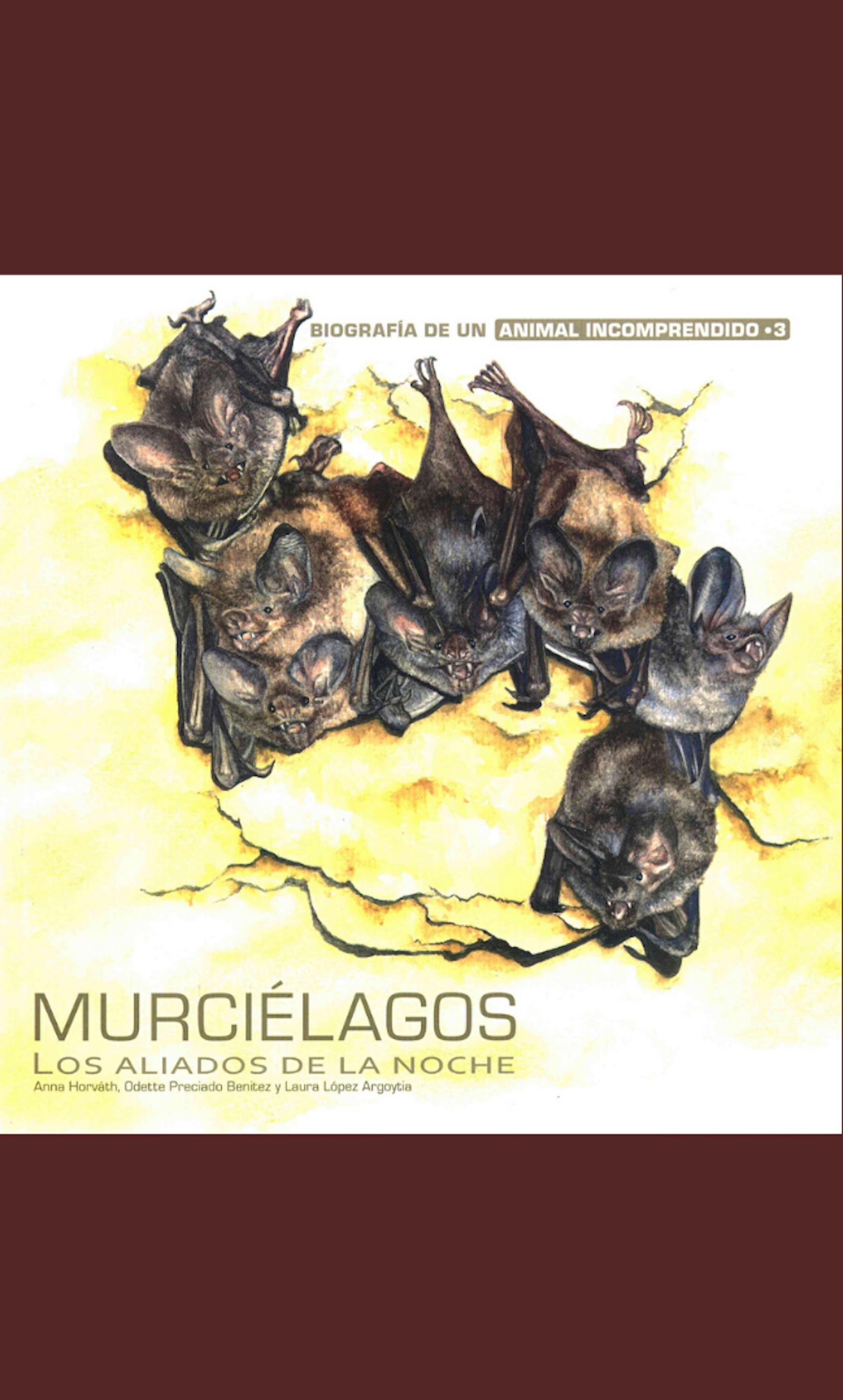 Обложка книги «Murciélagos»
