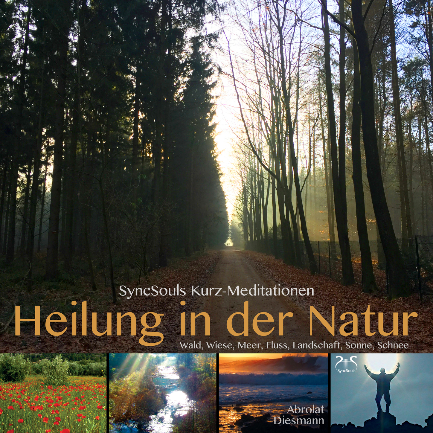 Обложка книги «Heilung in der Natur - SyncSouls Kurzmeditationen: Wald, Wiese, Meer, Fluss, Landschaft, Sonne, Schnee»