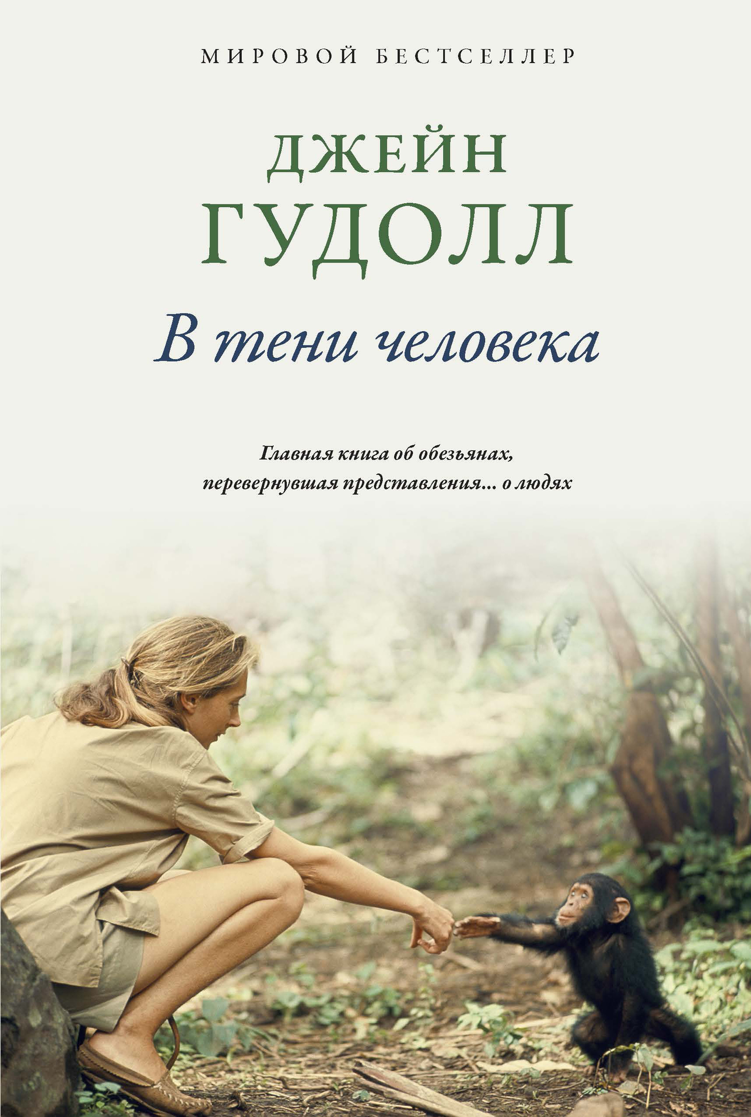Обложка книги «В тени человека»