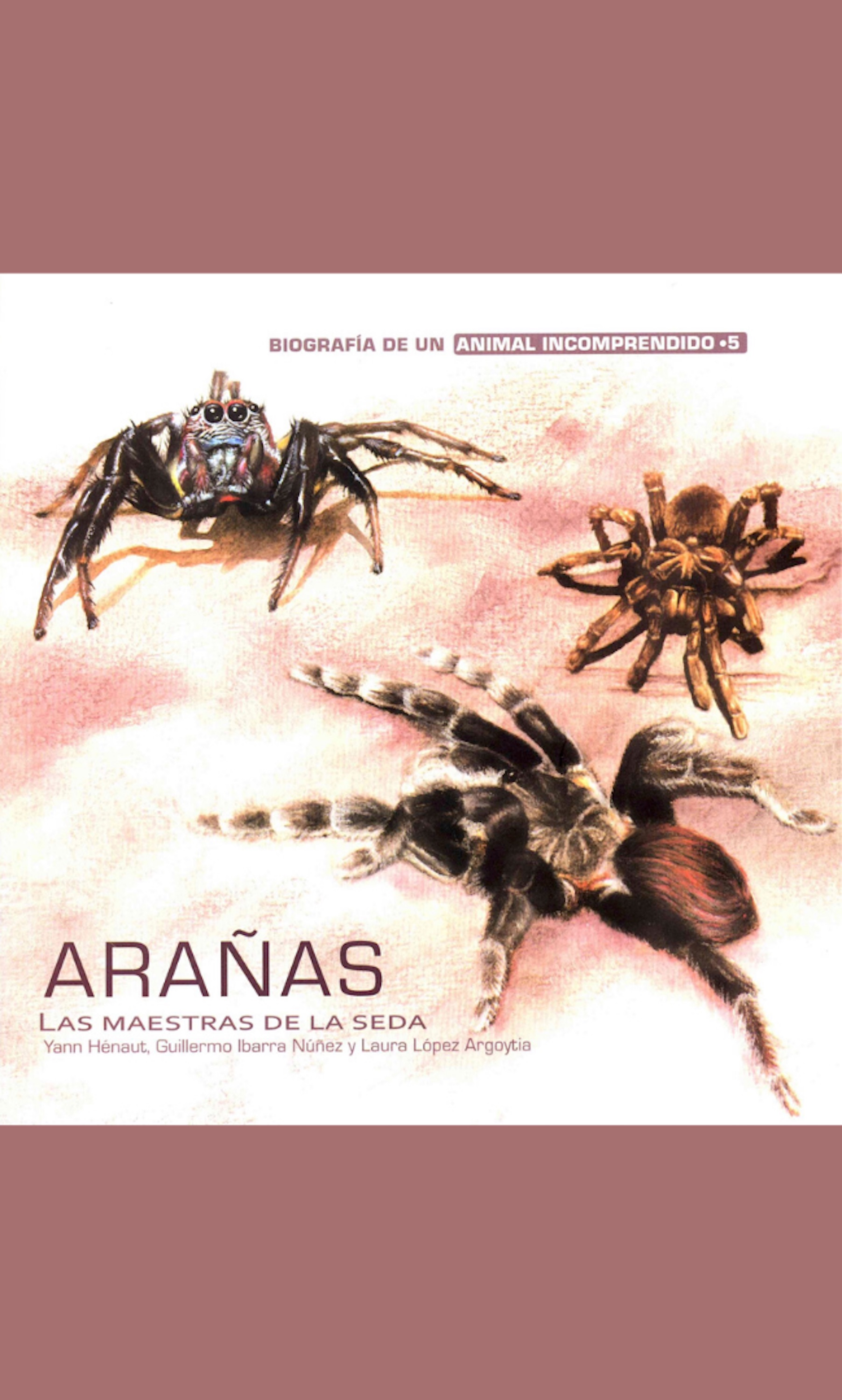 Обложка книги «Arañas»