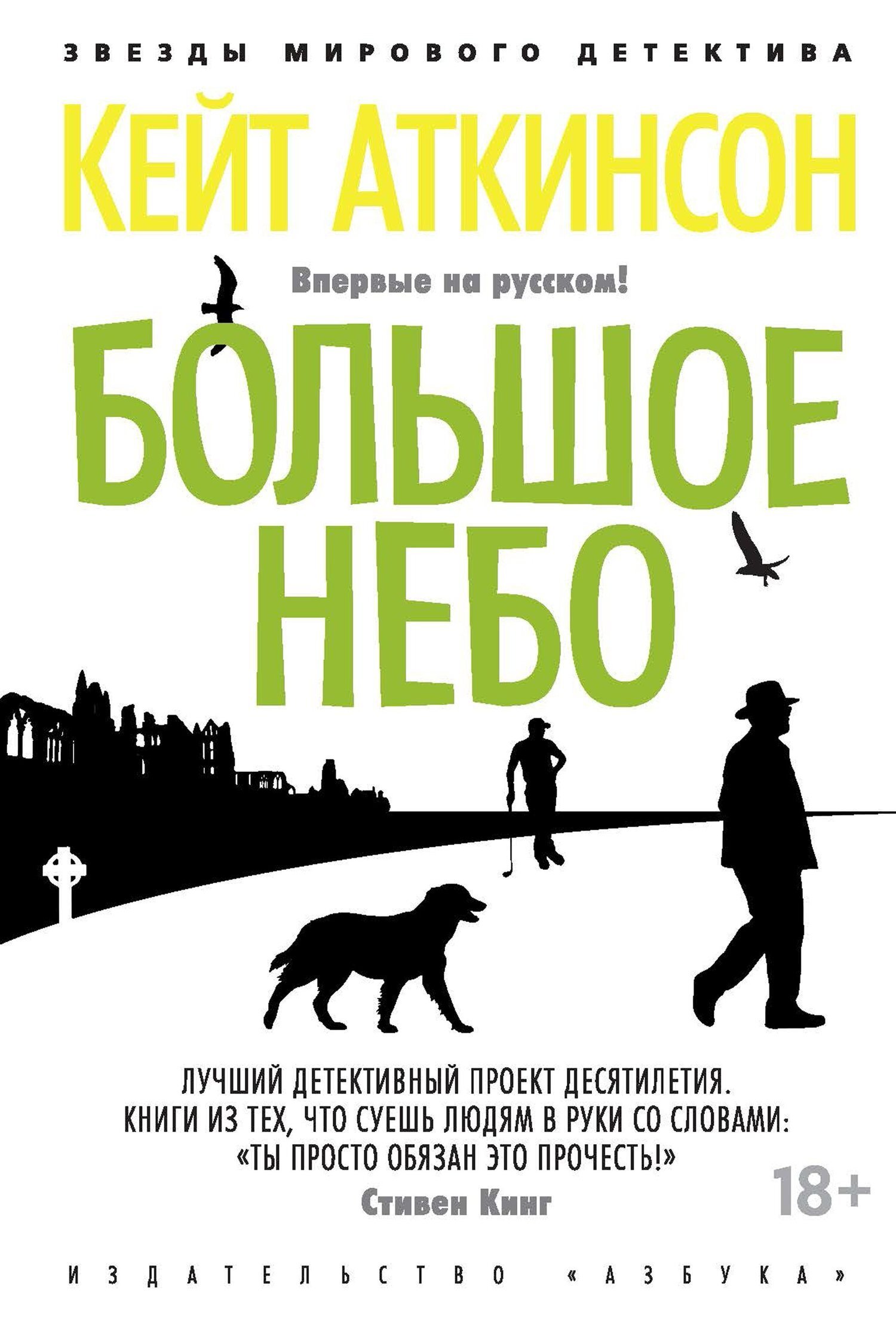Обложка книги «Большое небо»