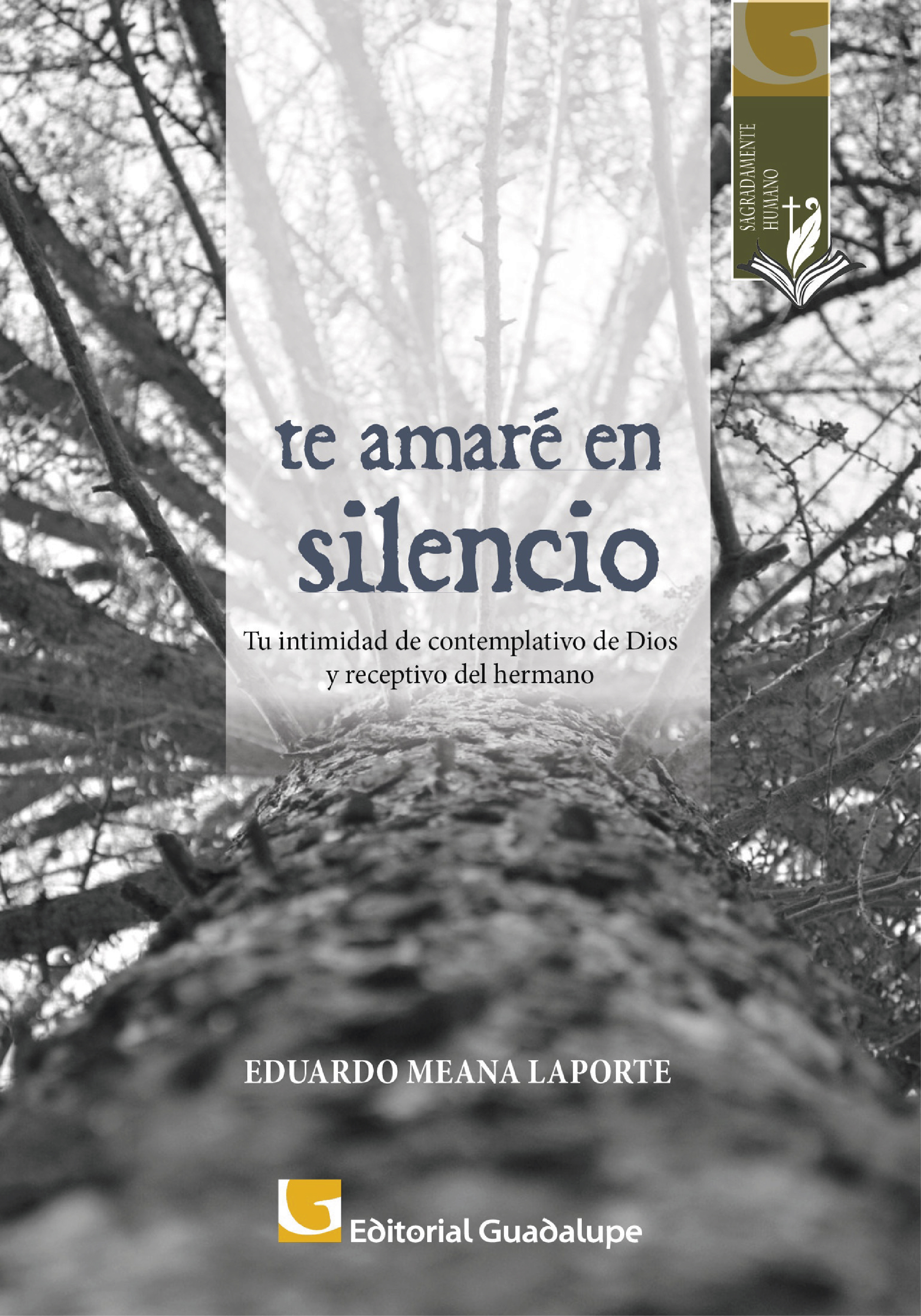 Обложка книги «Te amaré en silencio»