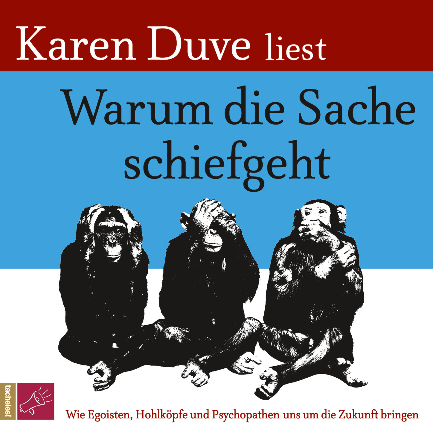 Обложка книги «Warum die Sache schiefgeht»
