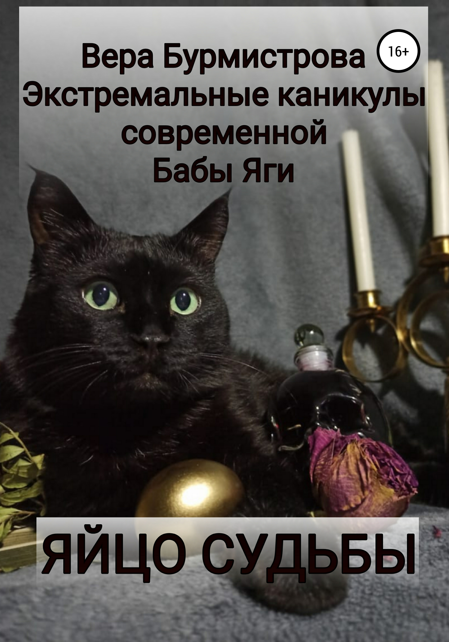 Обложка книги «ЯЙЦО СУДЬБЫ. Экстремальные каникулы современной Бабы Яги»