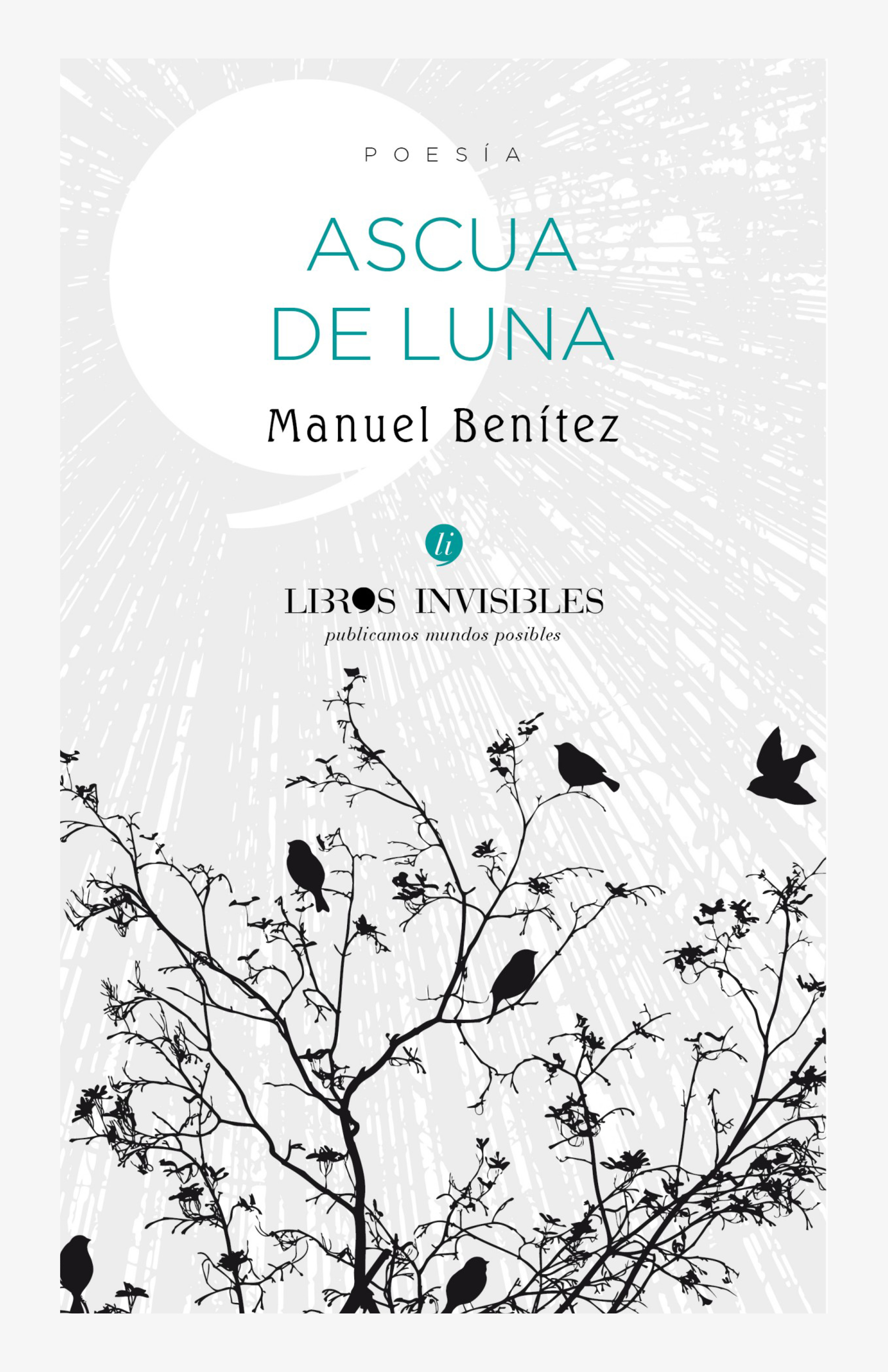 Обложка книги «Ascua de luna»