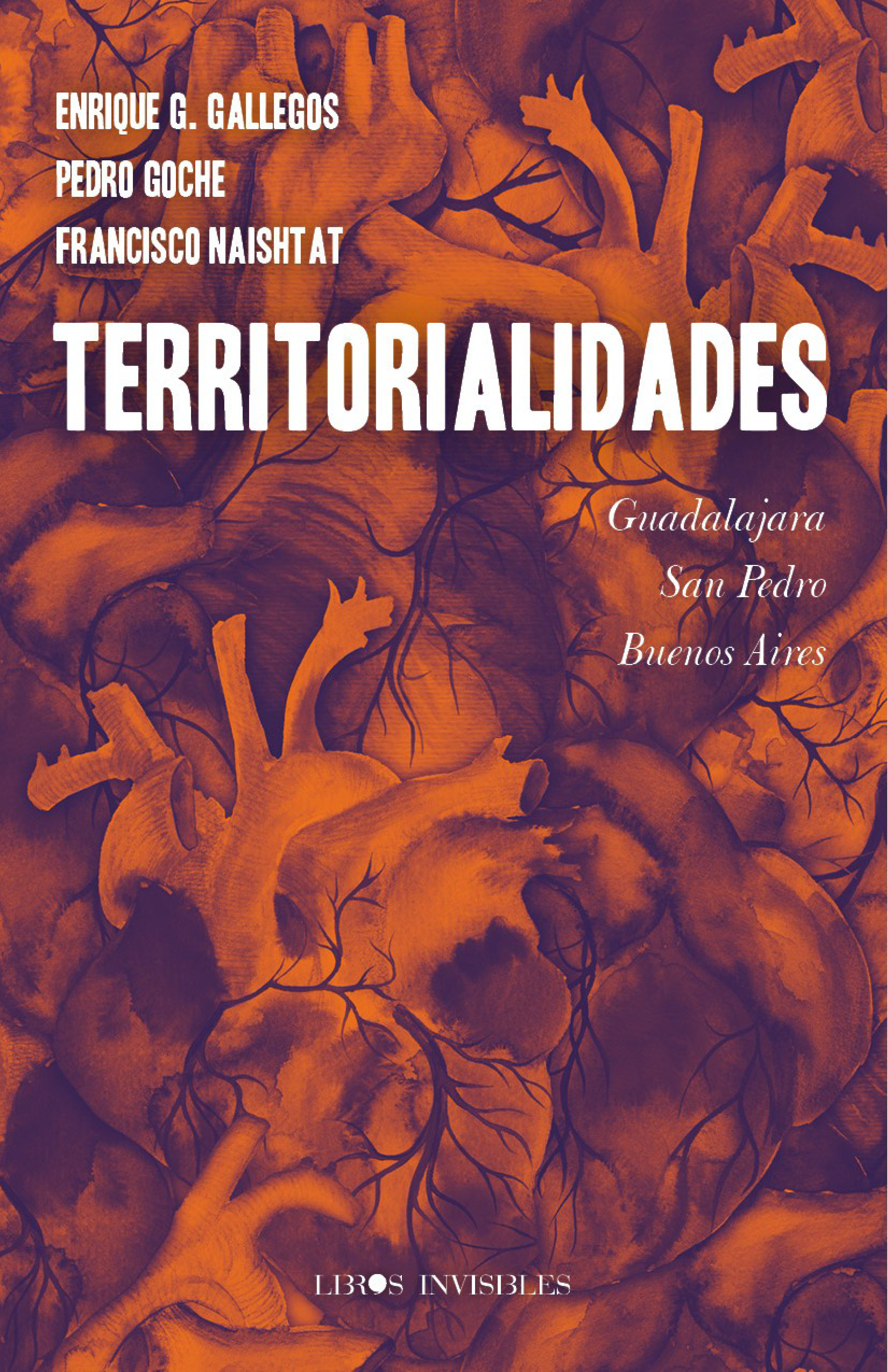 Обложка книги «Territorialidades»