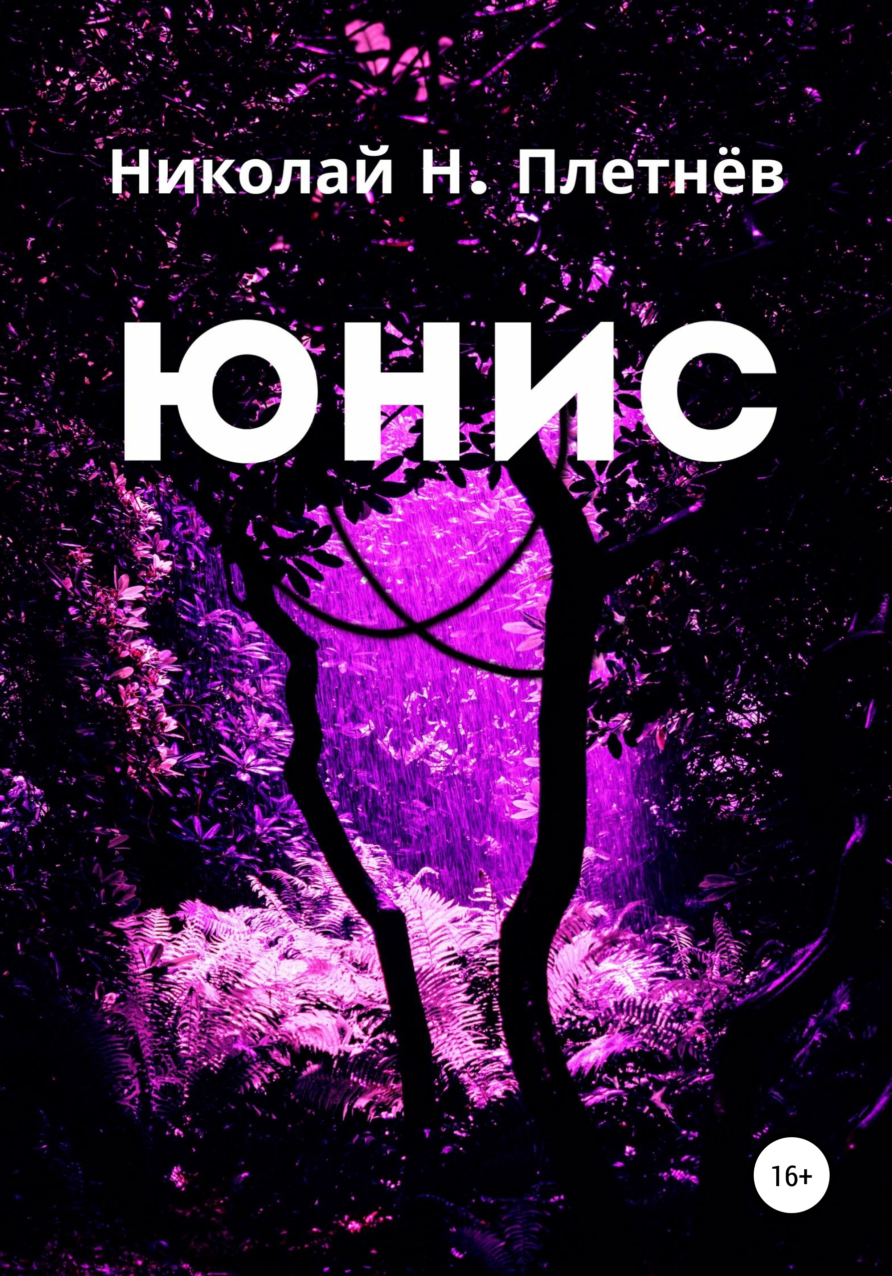 Обложка книги «Юнис»