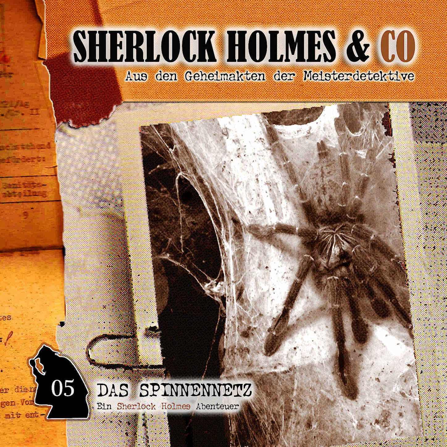Обложка книги «Sherlock Holmes & Co, Folge 5: Das Spinnennetz»