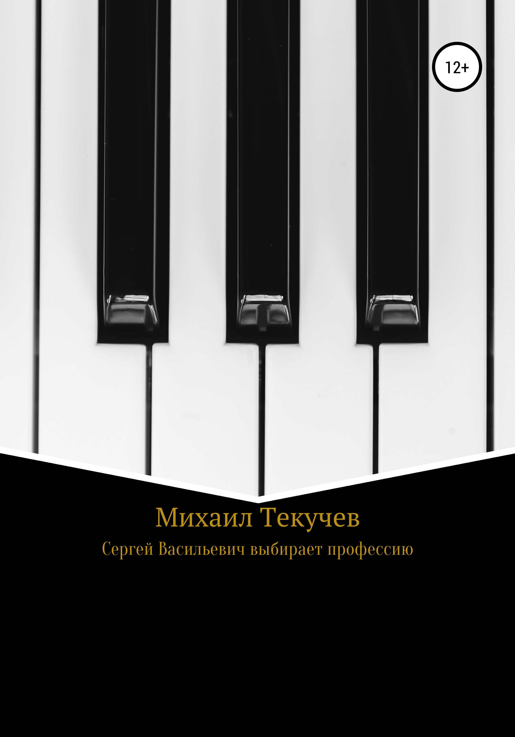 Обложка книги «Сергей Васильевич выбирает профессию»
