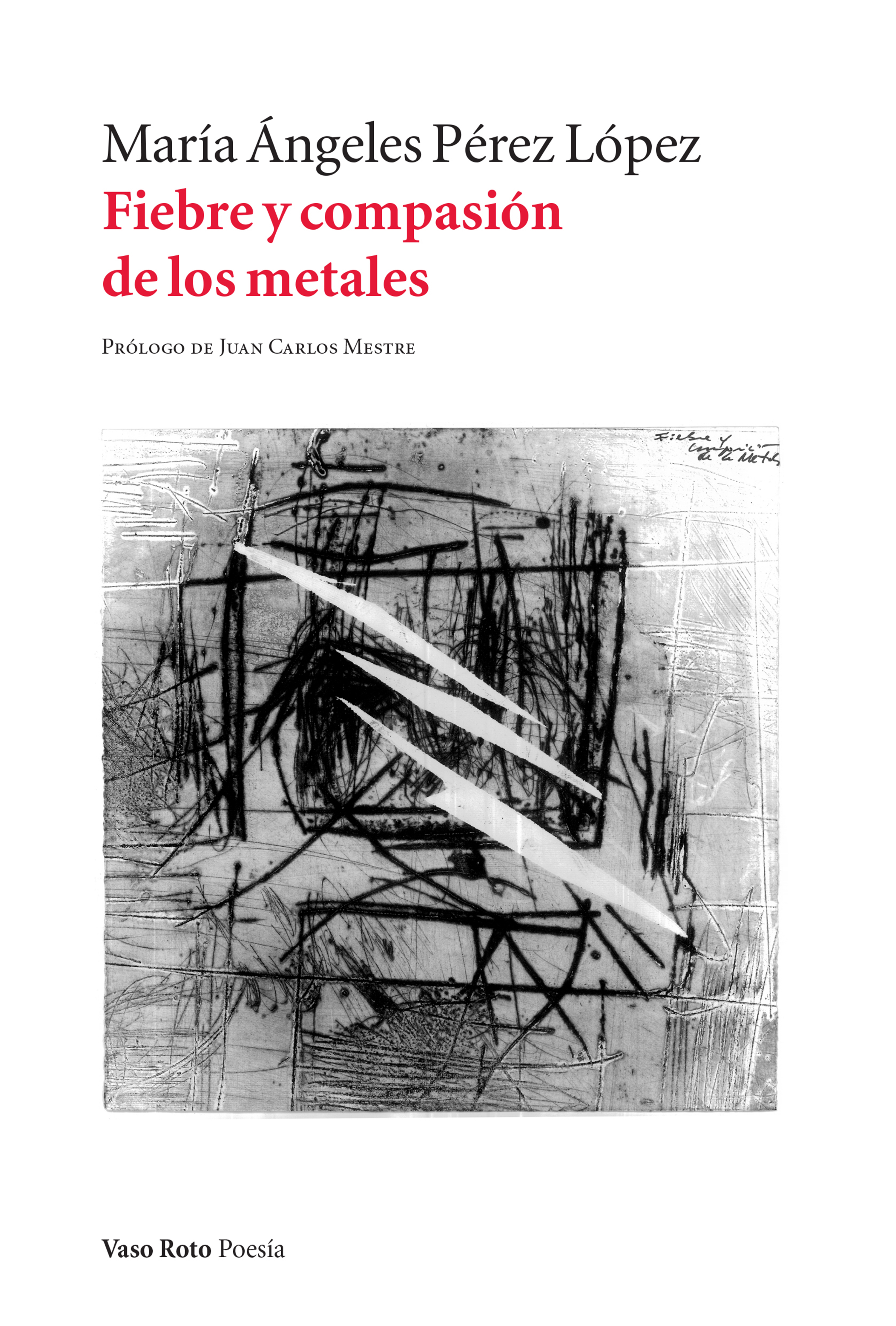Обложка книги «Fiebre y compasión de los metales»