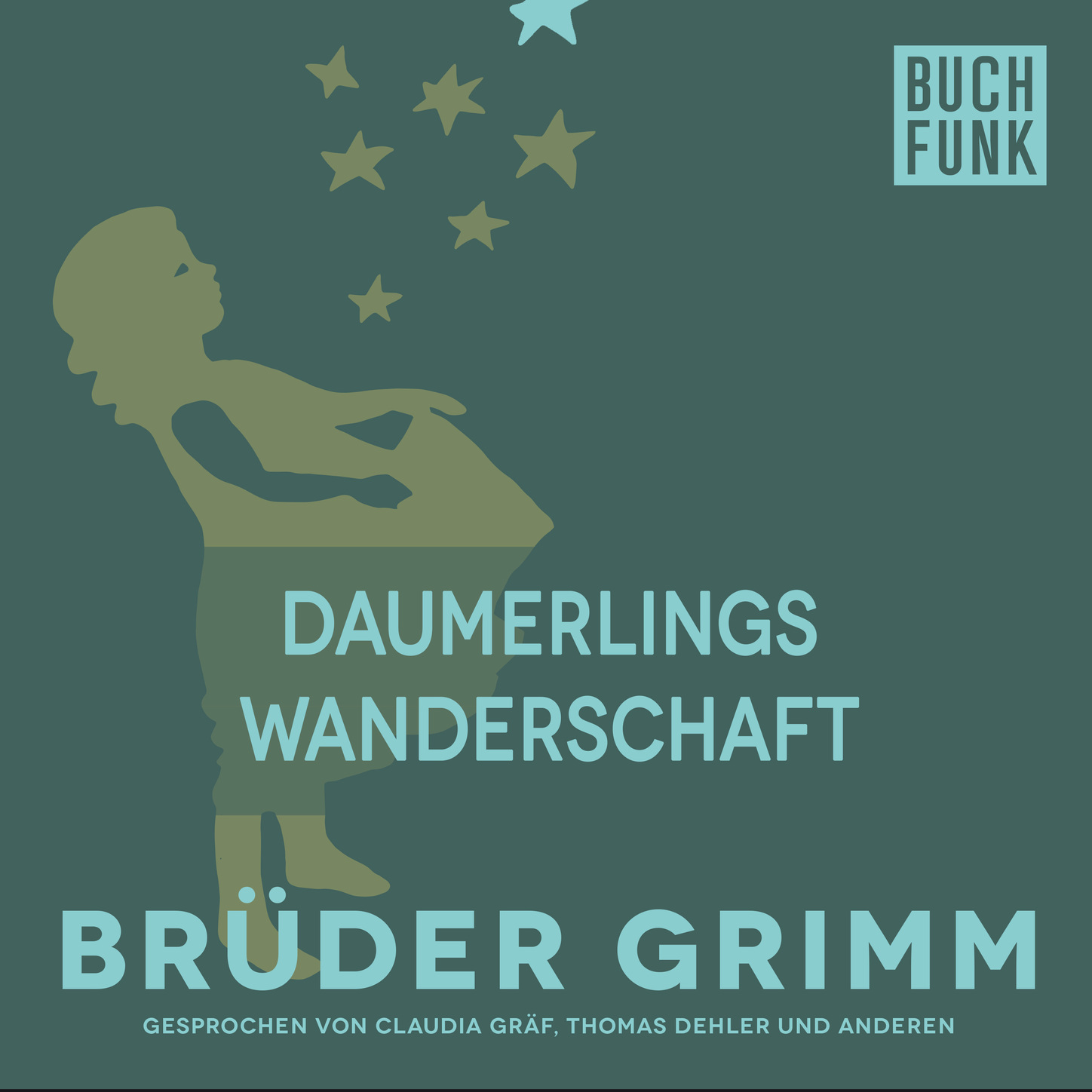 Обложка книги «Daumerlings Wanderschaft»