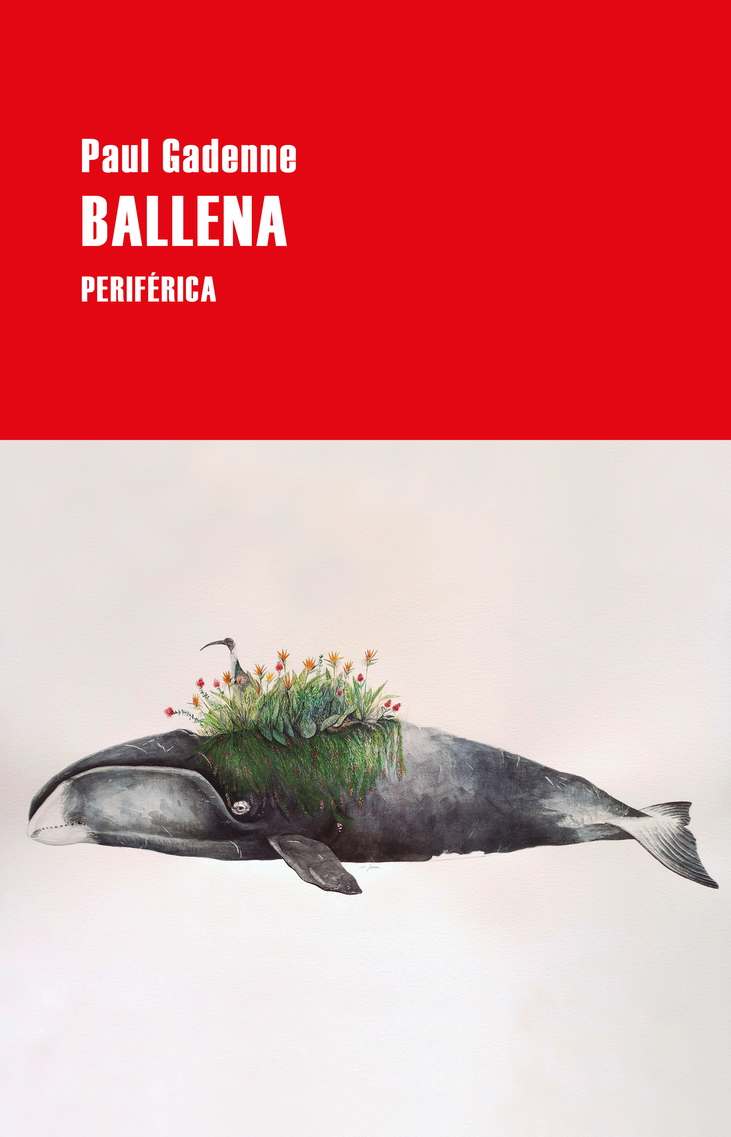 Обложка книги «Ballena»