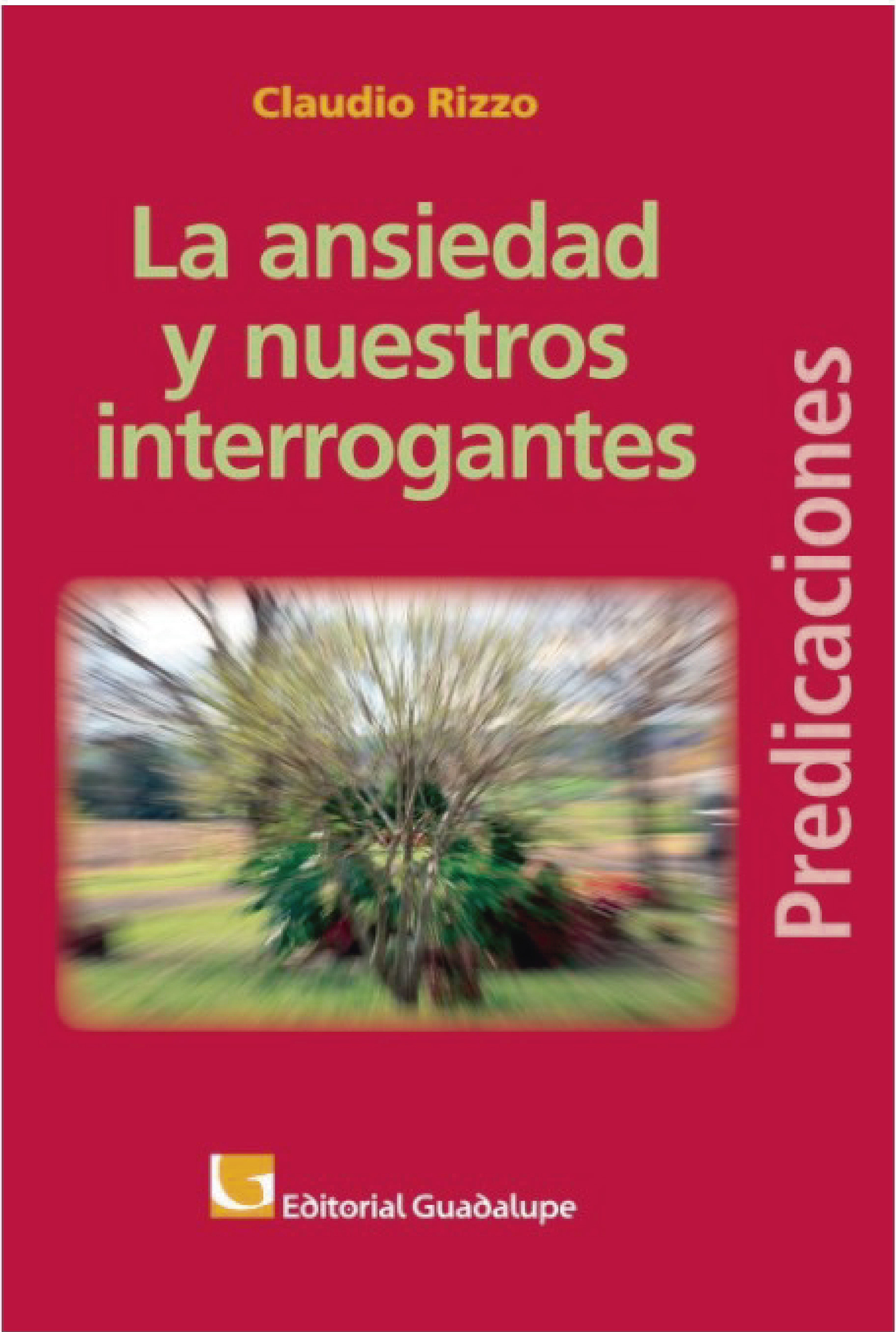 Обложка книги «La ansiedad y nuestros interrogantes»
