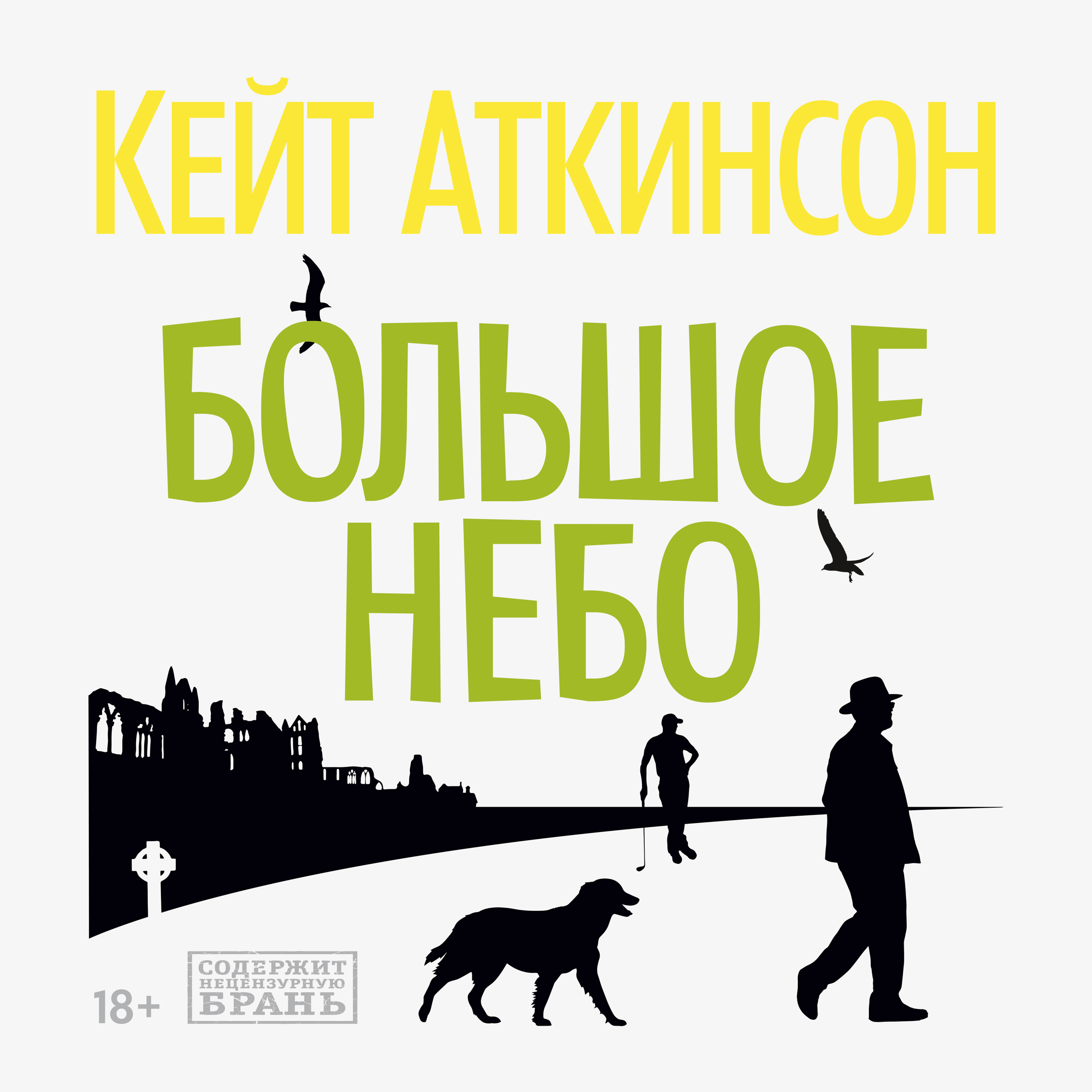 Обложка книги «Большое небо»