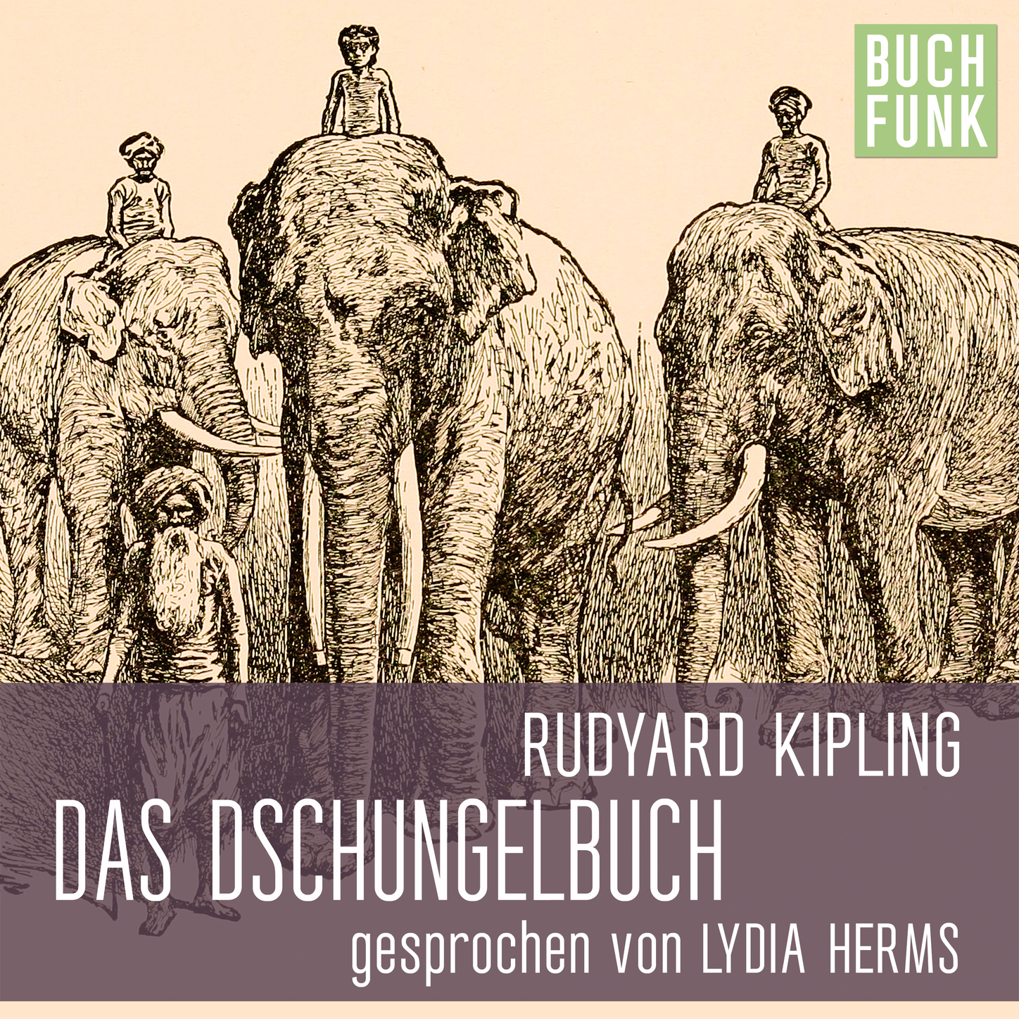 Обложка книги «Das Dschungelbuch»