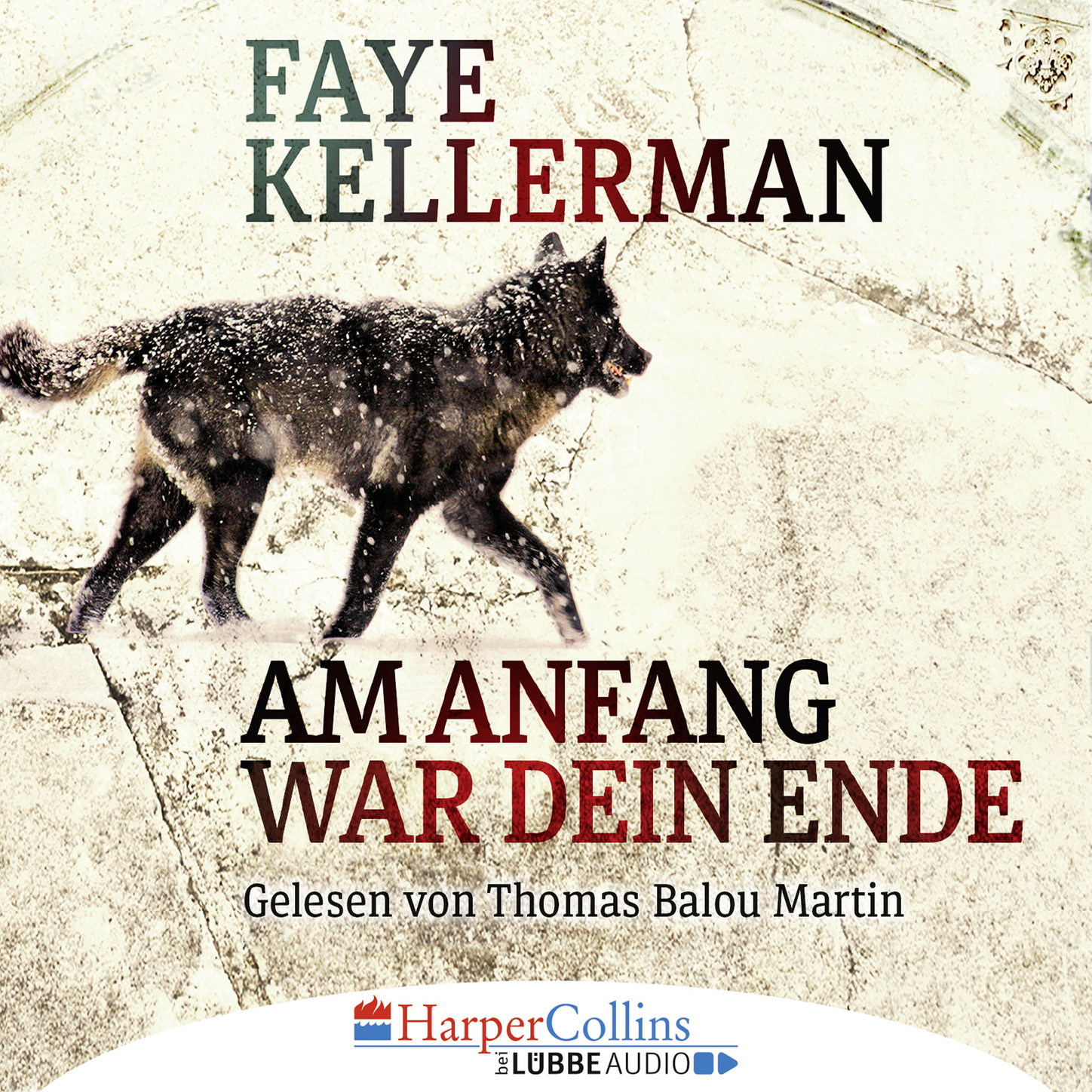 Обложка книги «Am Anfang war dein Ende (Gekürzt)»