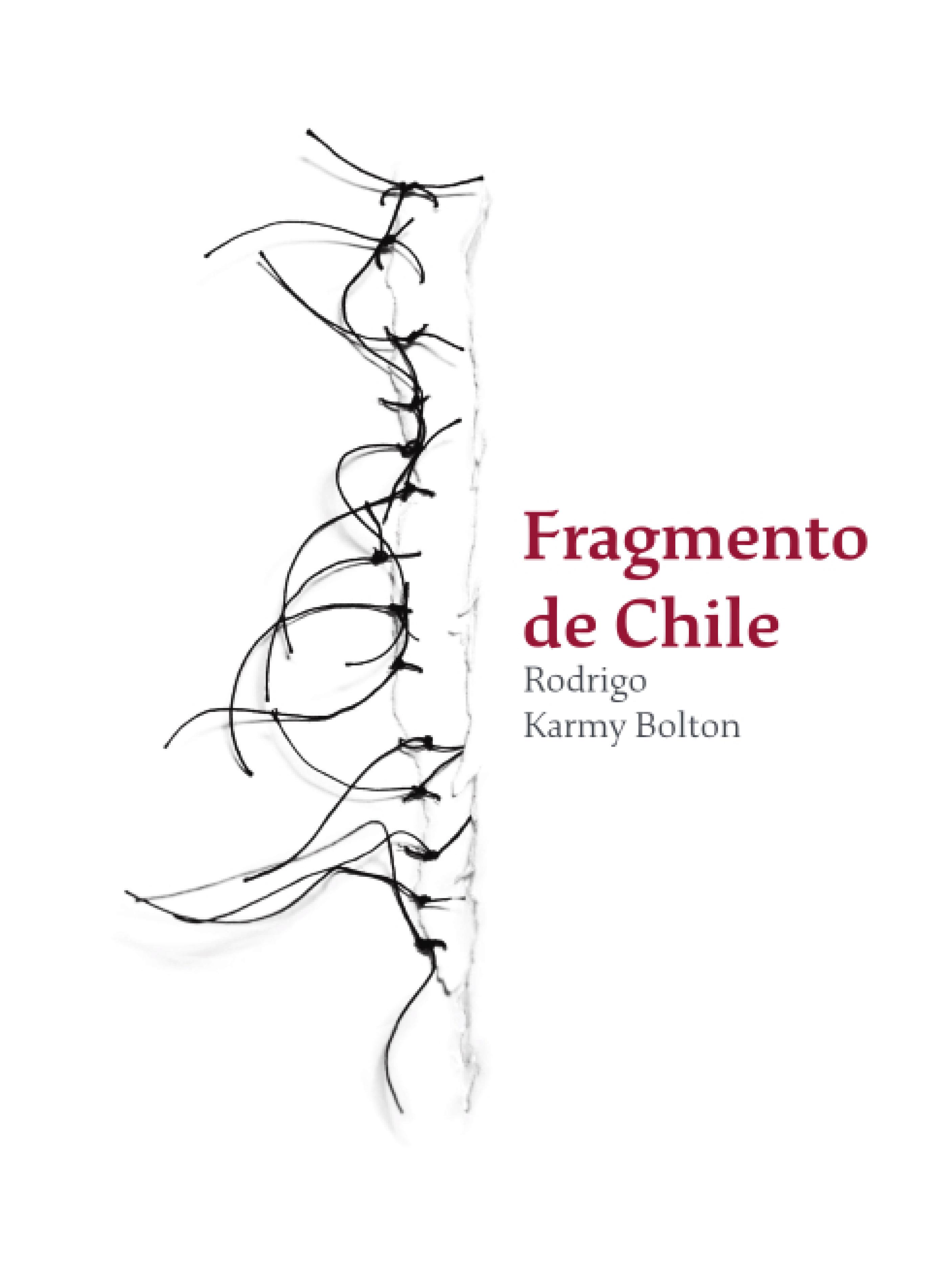Обложка книги «Fragmento de Chile»