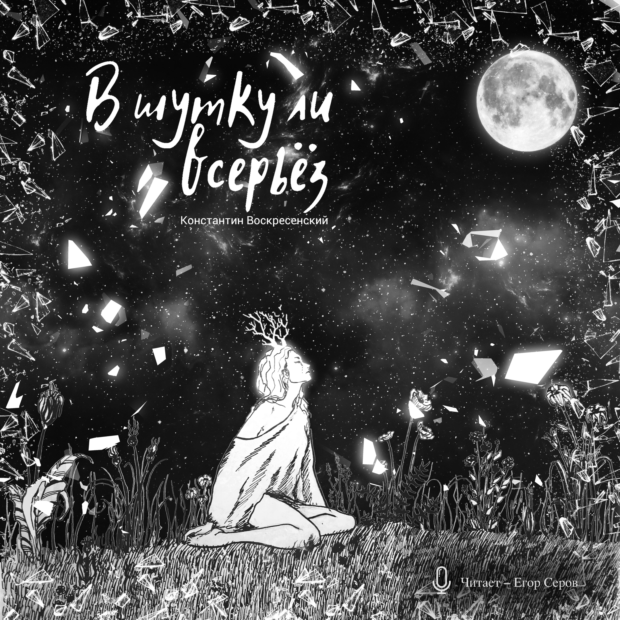 Обложка книги «В шутку ли всерьёз»