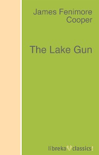 Обложка книги «The Lake Gun»