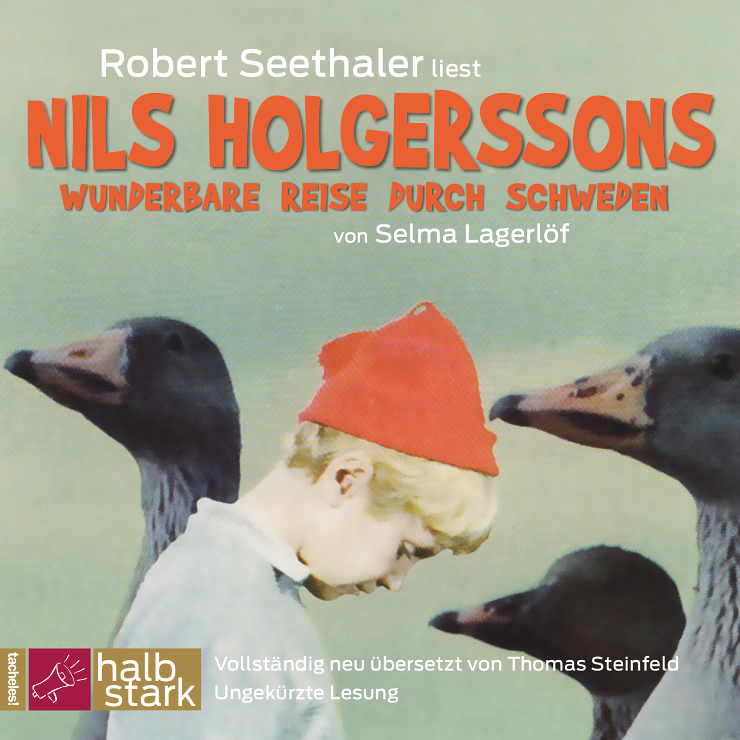 Обложка книги «Nils Holgerssons wunderbare Reise durch Schweden (Ungekürzt)»
