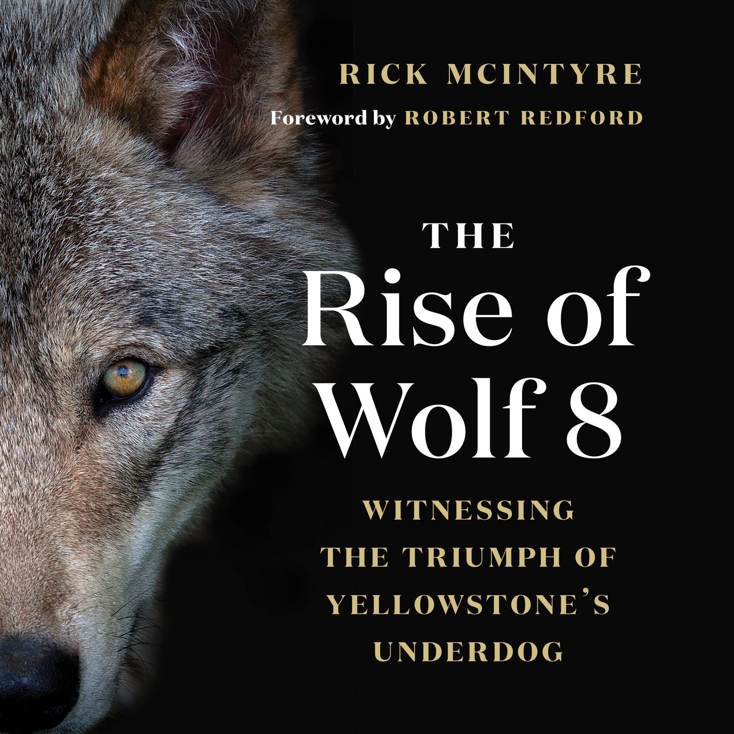Обложка книги «The Rise of Wolf 8 - Witnessing the Triumph of Yellowstone's Underdog - Alpha Wolves of Yellowstone: A Trilogy, Book 1 (Unabridged)»
