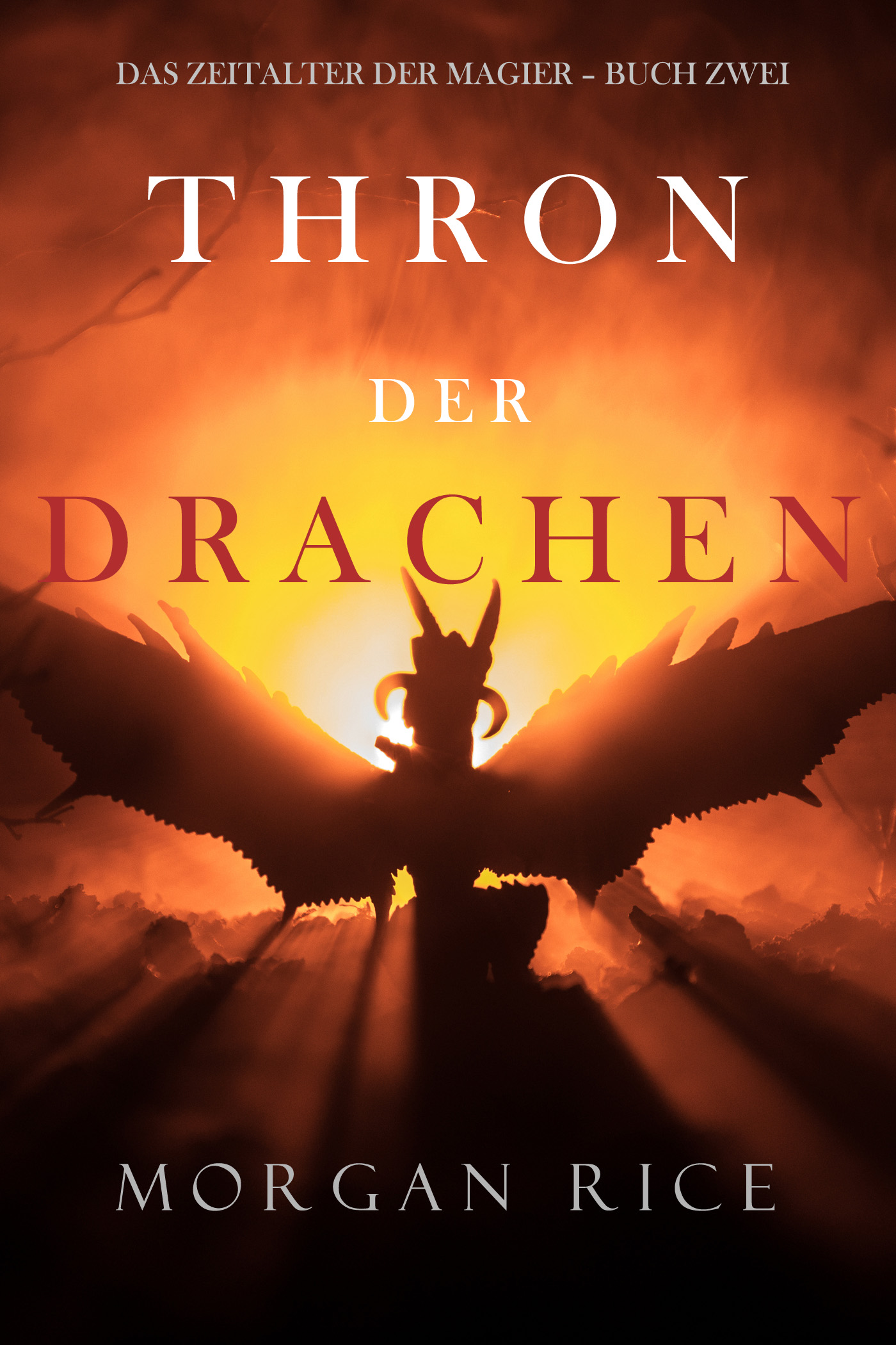 Обложка книги «Thron der Drachen»