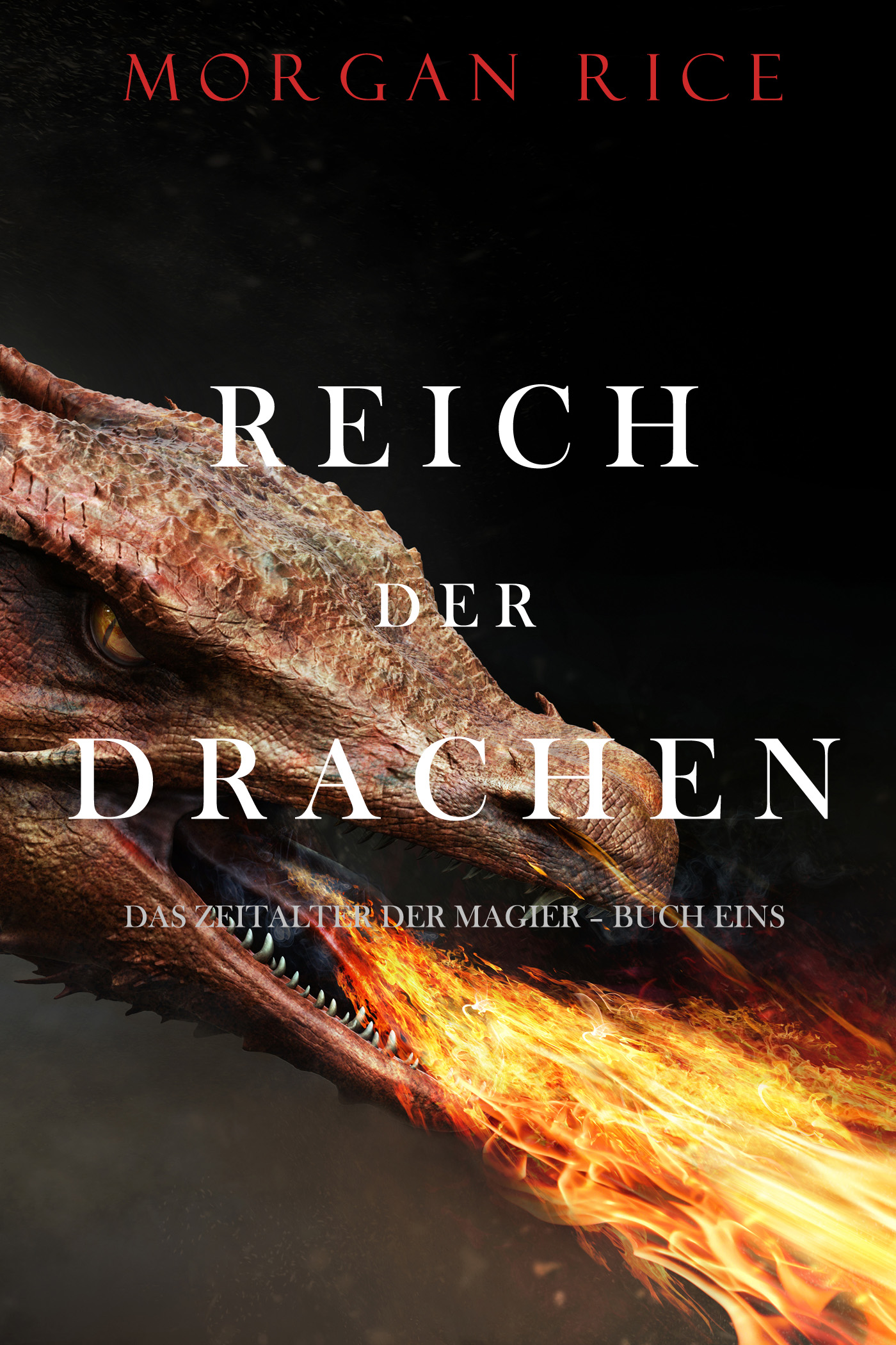 Обложка книги «Reich der Drachen»