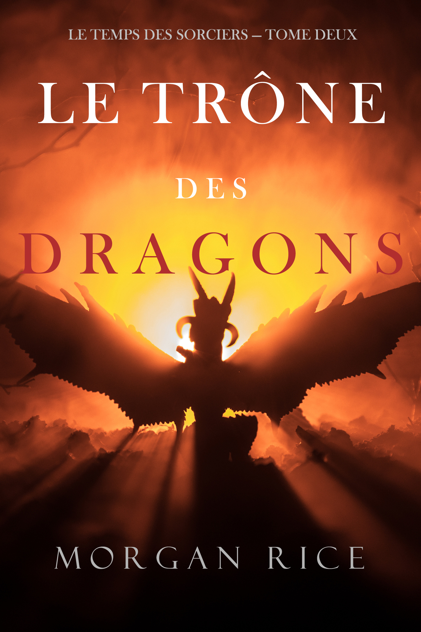 Обложка книги «Le Trône des Dragons»