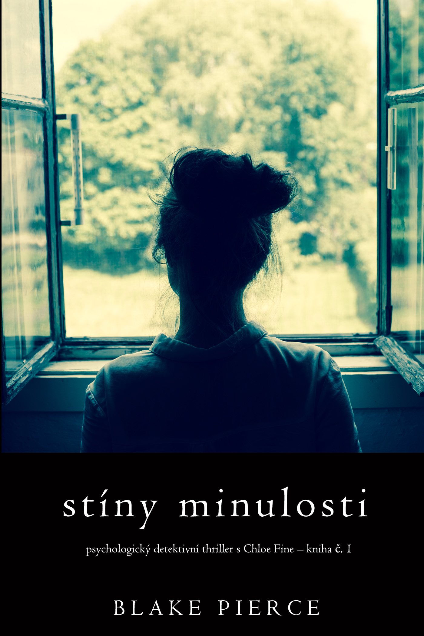Обложка книги «Stíny minulosti»
