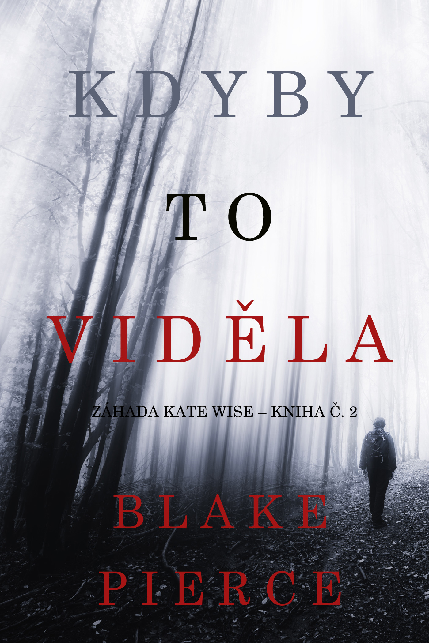 Обложка книги «Kdyby to viděla»