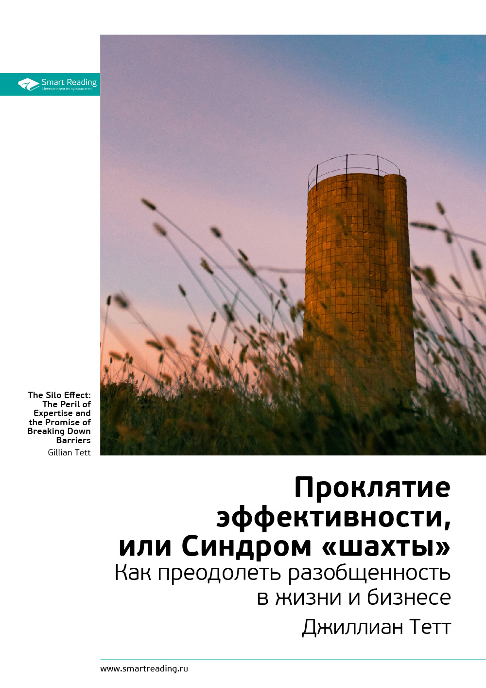 Обложка книги «Ключевые идеи книги: Проклятие эффективности, или Синдром «шахты». Джиллиан Тетт»
