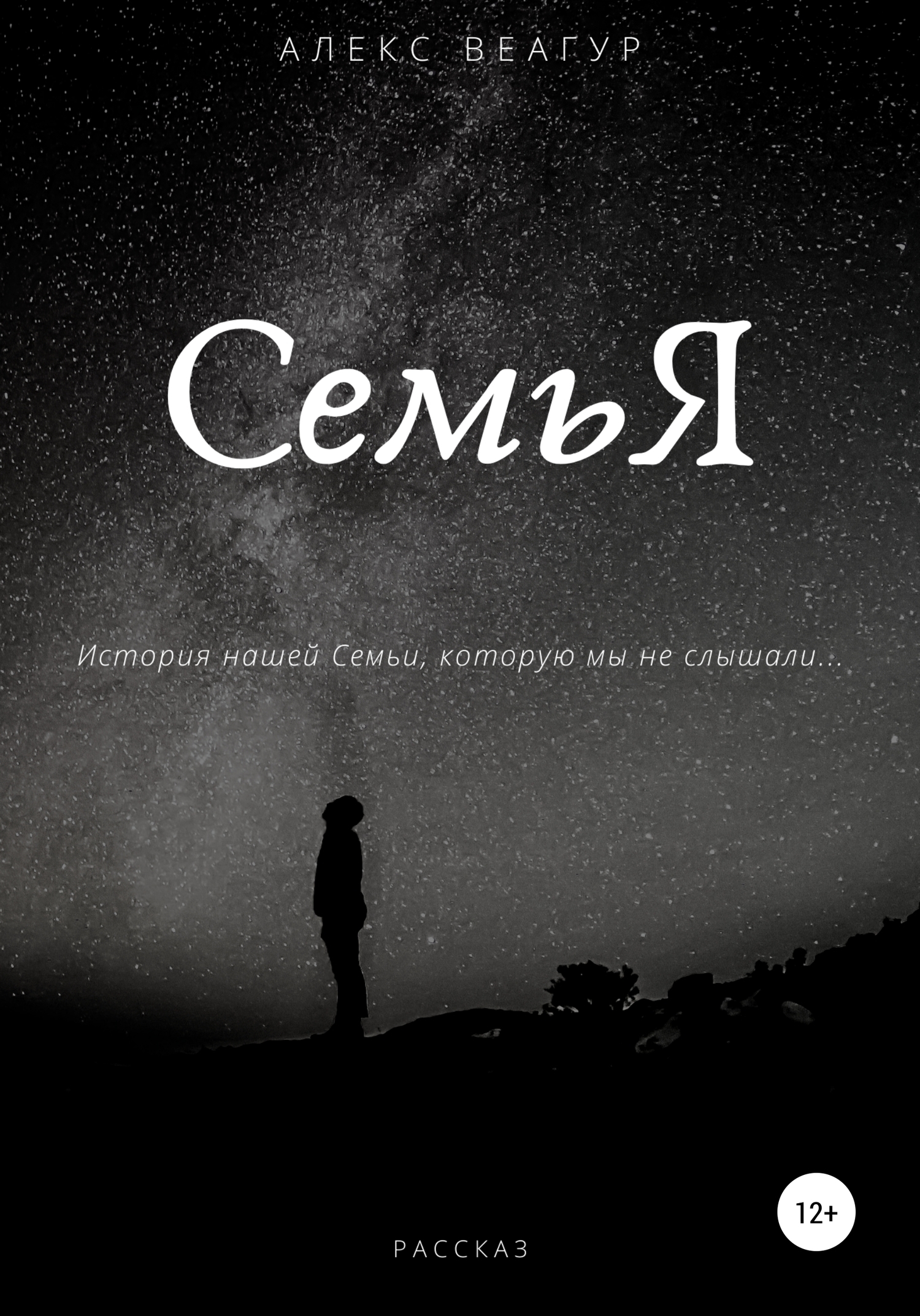 Обложка книги «СемьЯ»