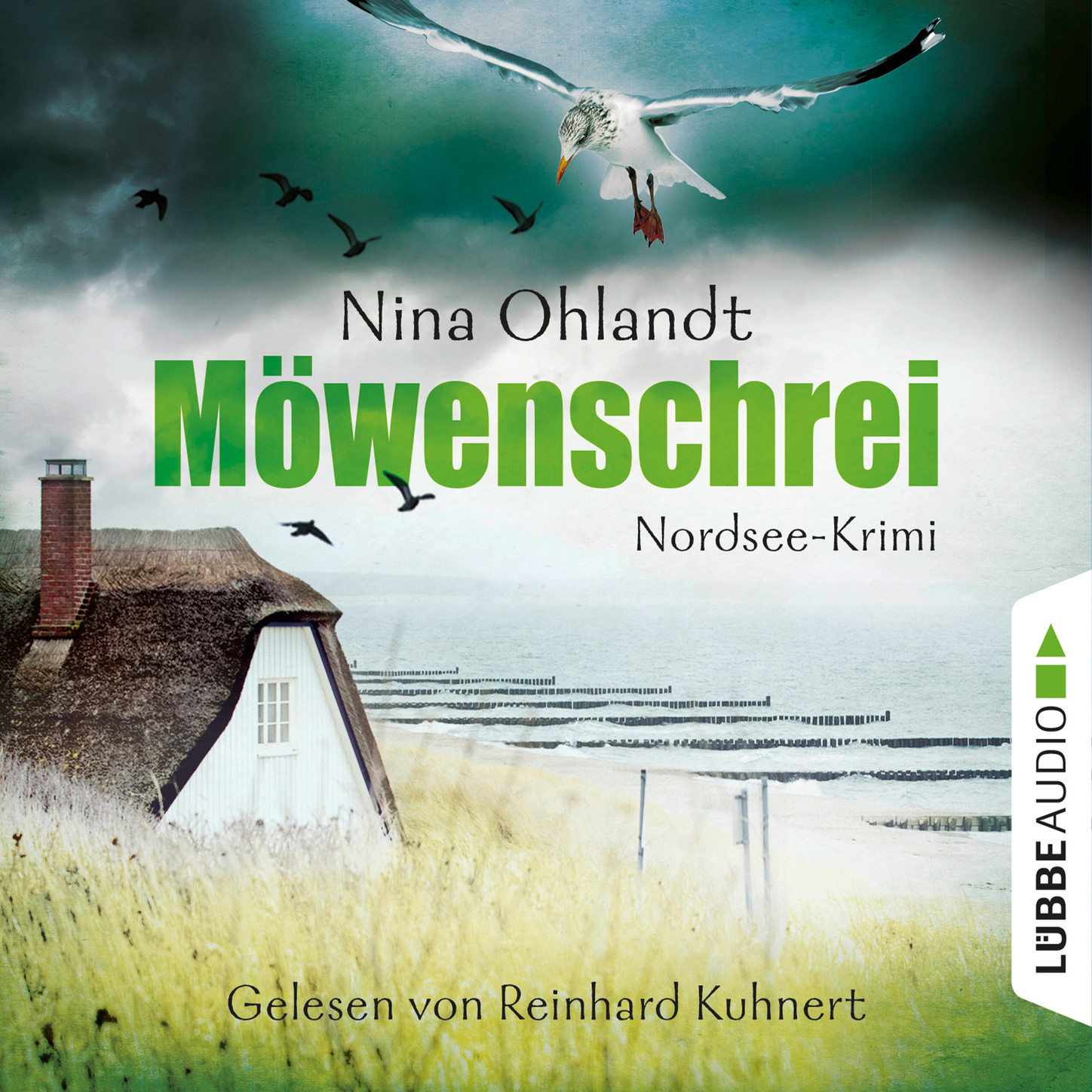 Обложка книги «Möwenschrei - Hauptkommisar John Benthien 2»