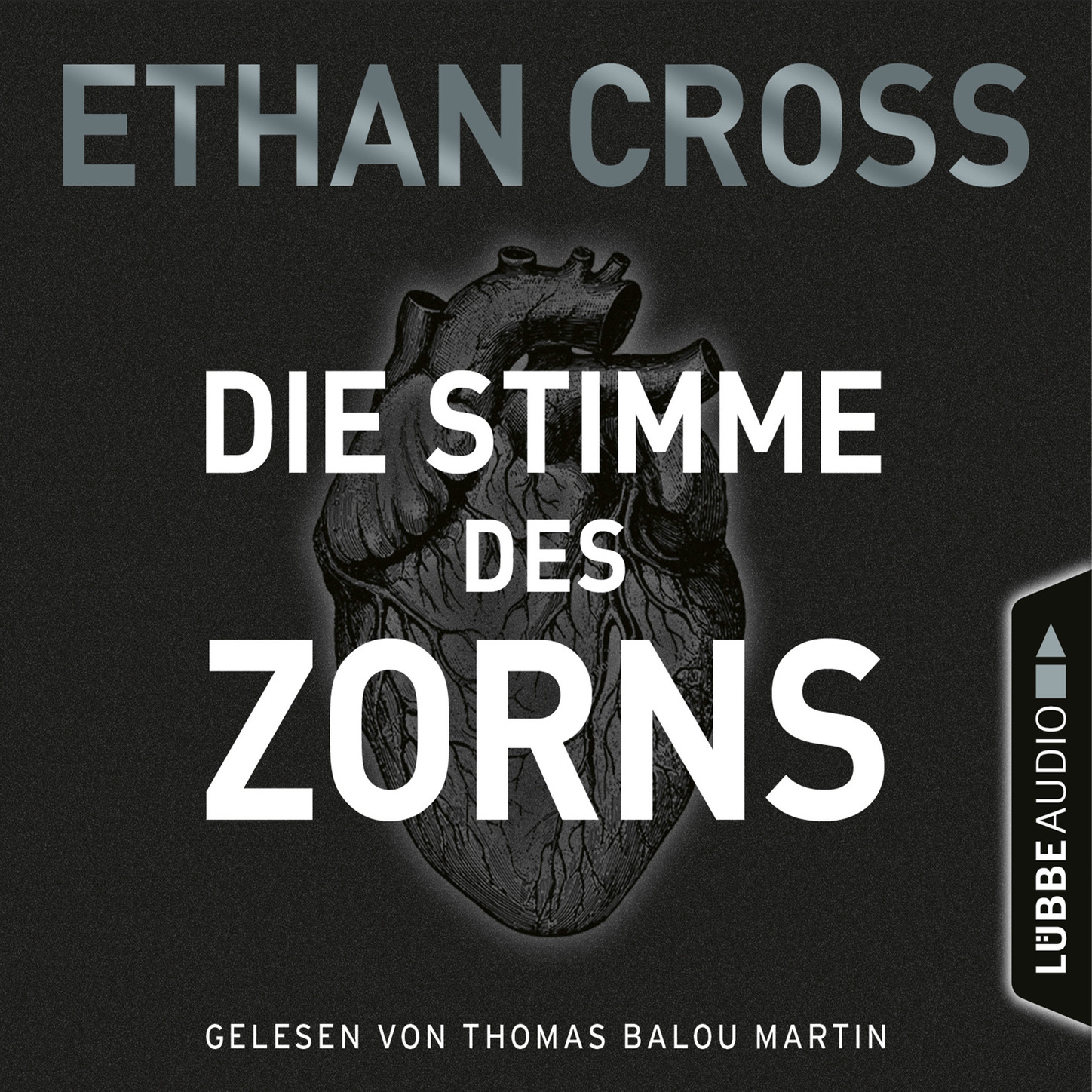Обложка книги «Die Stimme des Zorns - Die Ackermann & Shirazi-Reihe 1 (Gekürzt)»