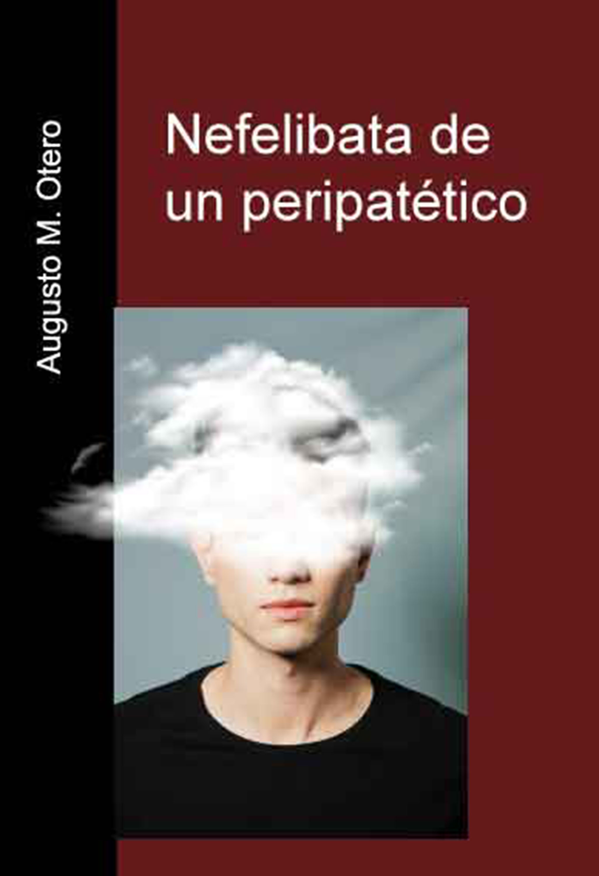 Обложка книги «Nefelibata de un peripatético»