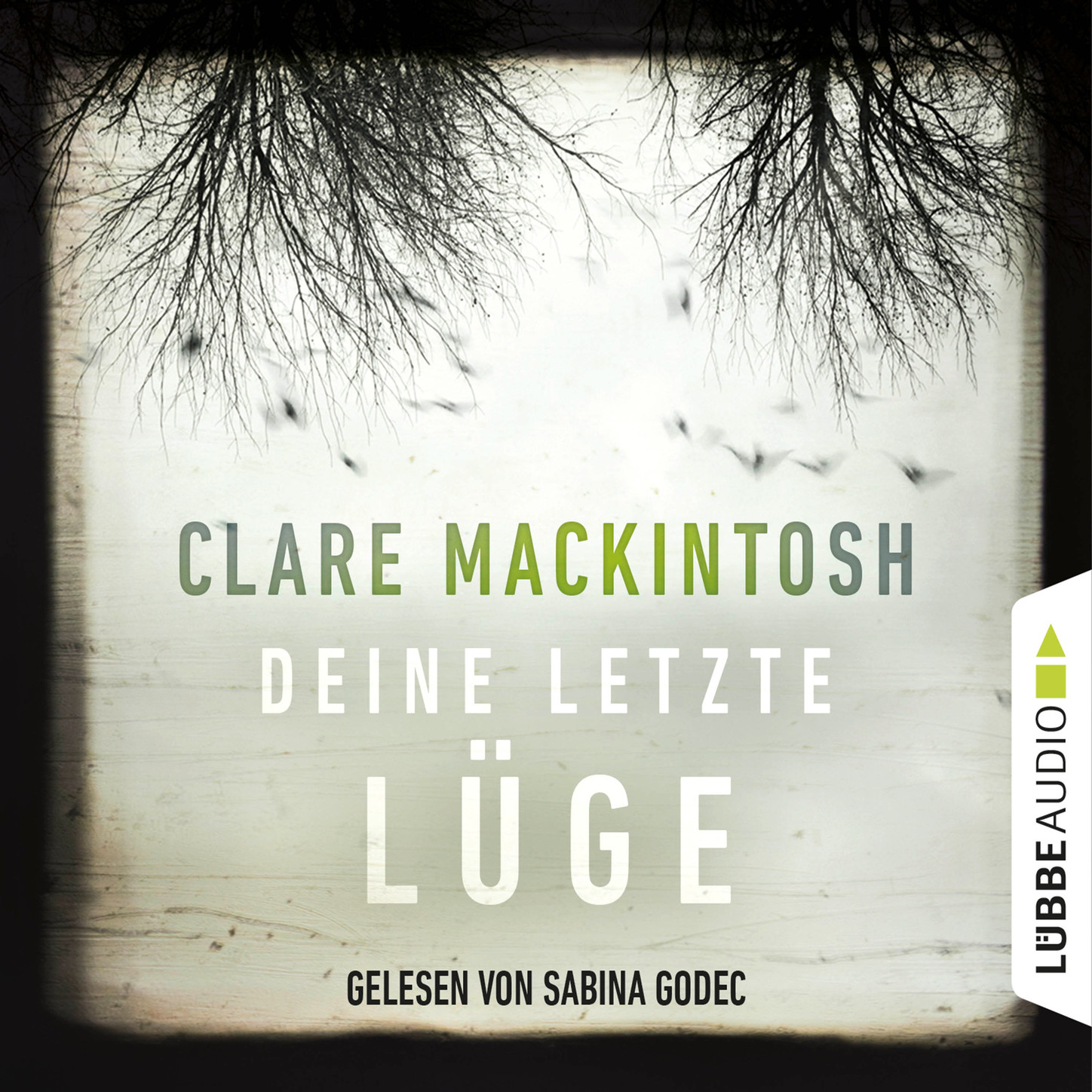 Обложка книги «Deine letzte Lüge (Gekürzt)»